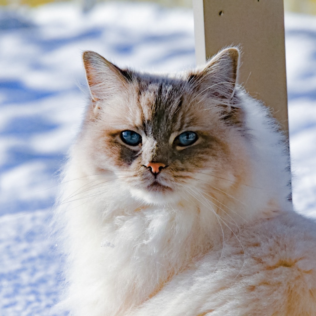 Oona