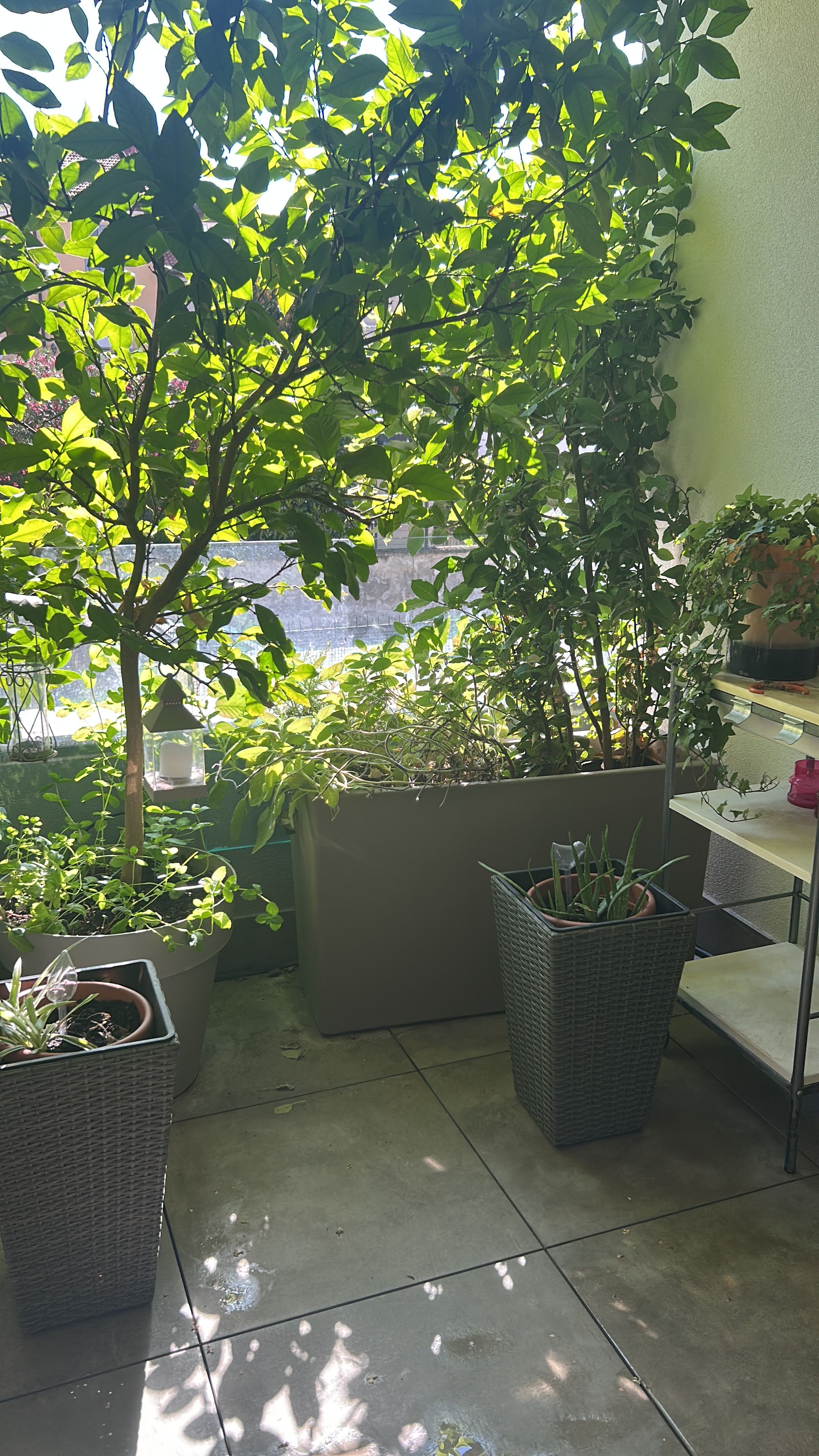 image-20