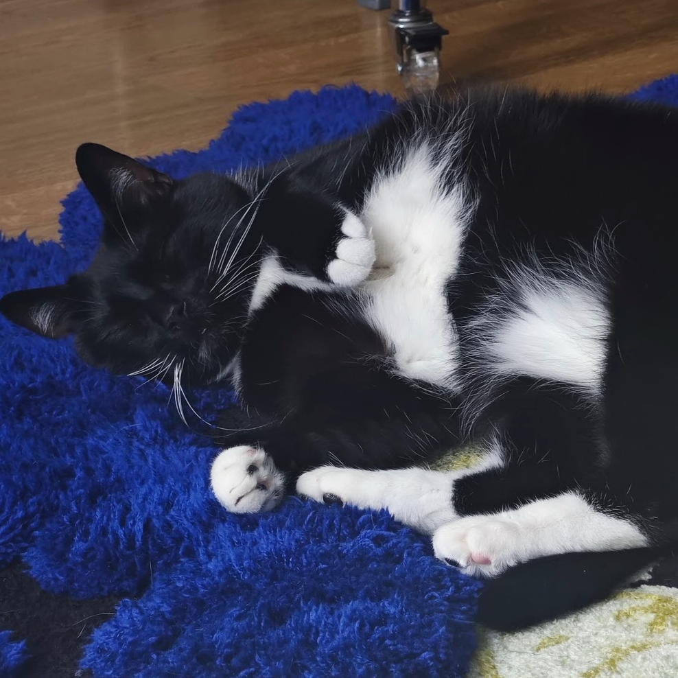Peanut