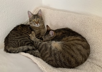 Sally & Winnie