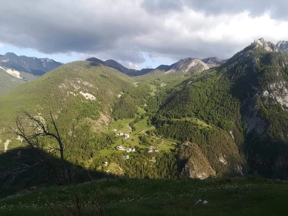 image-7