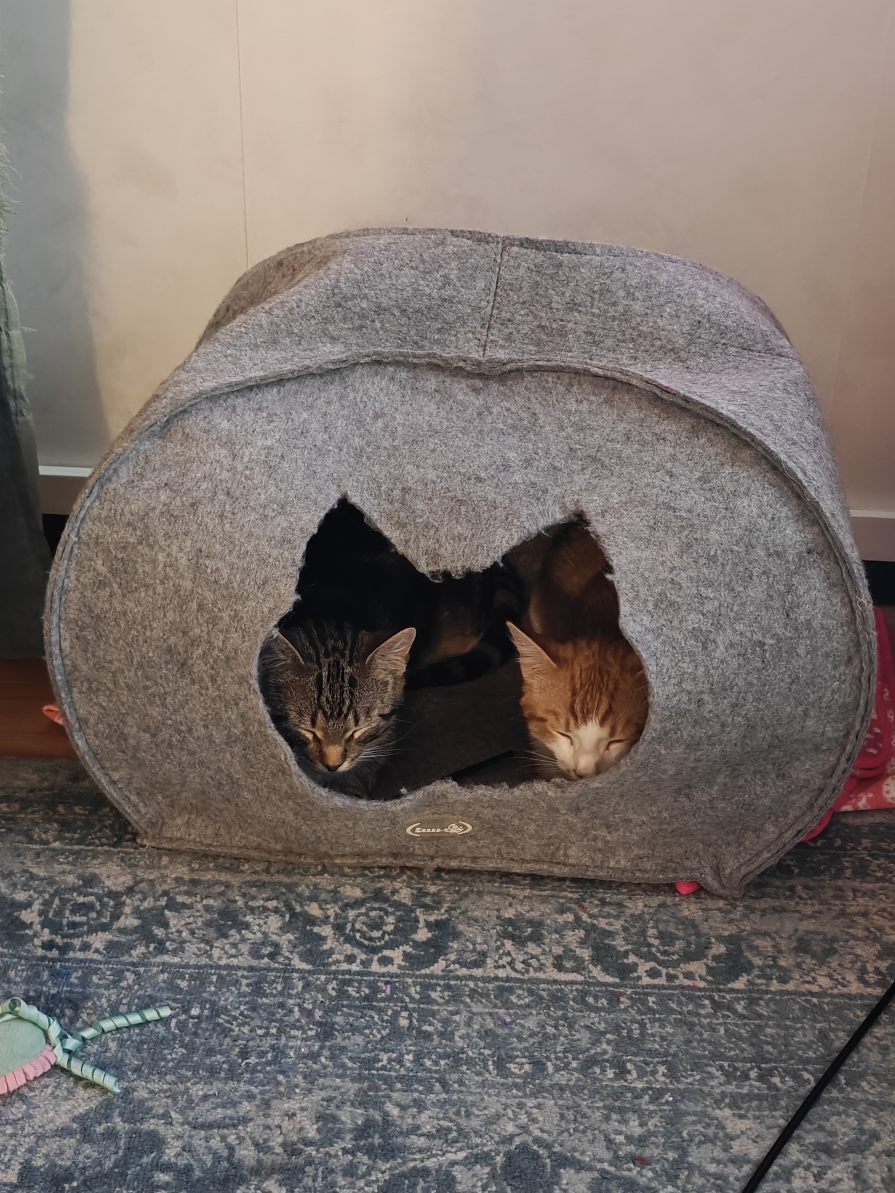 image-8