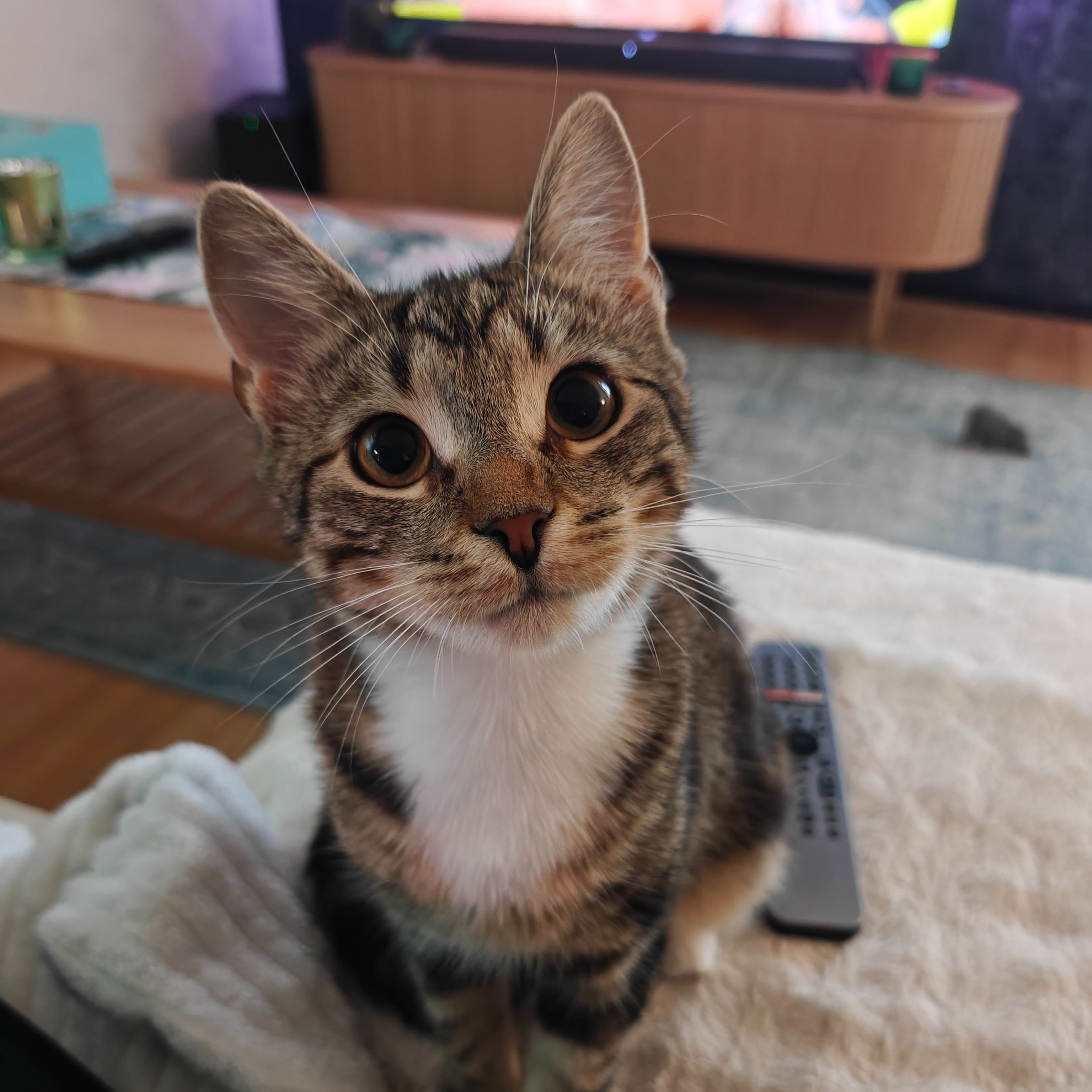 Vili