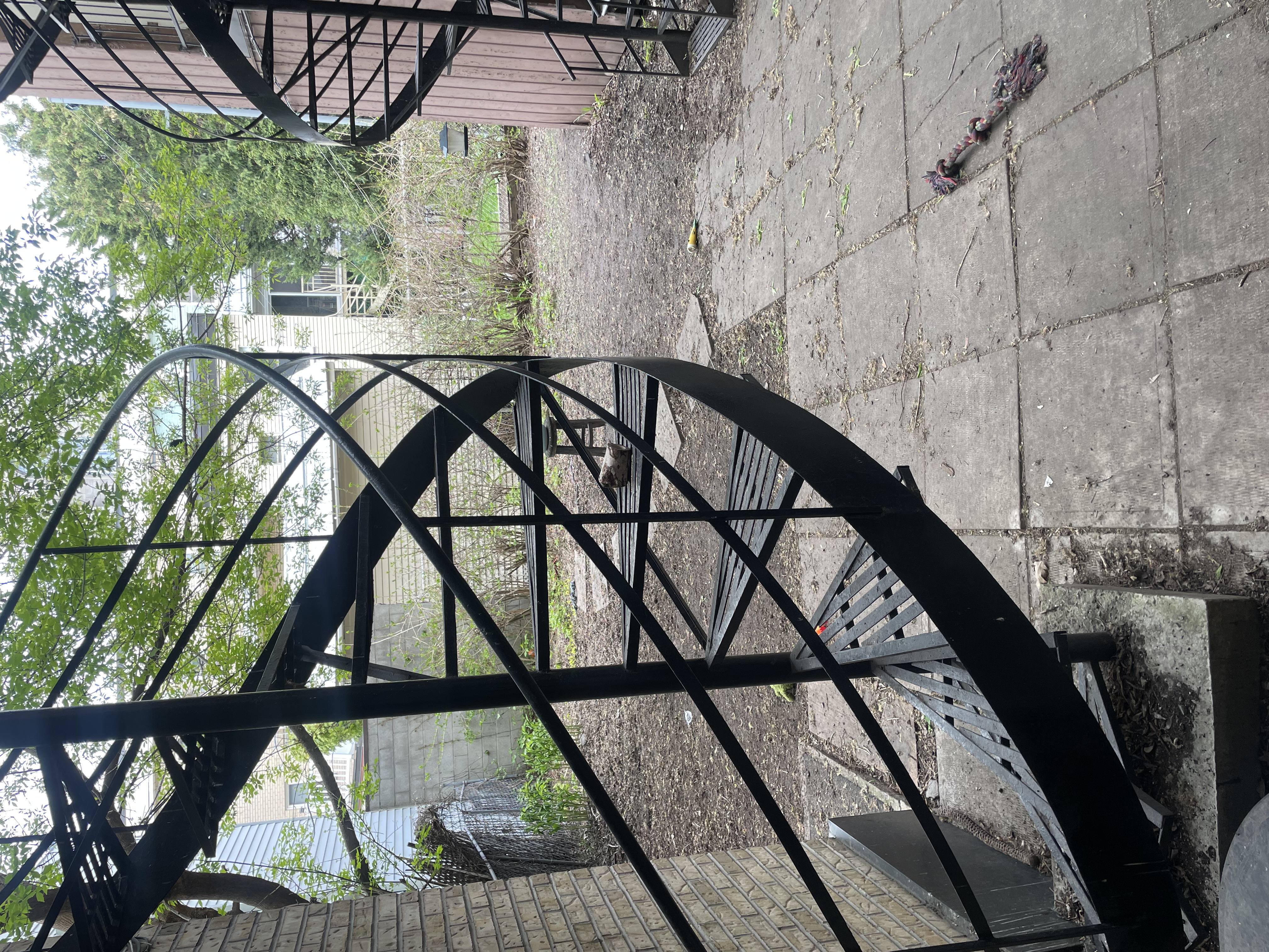 image-13