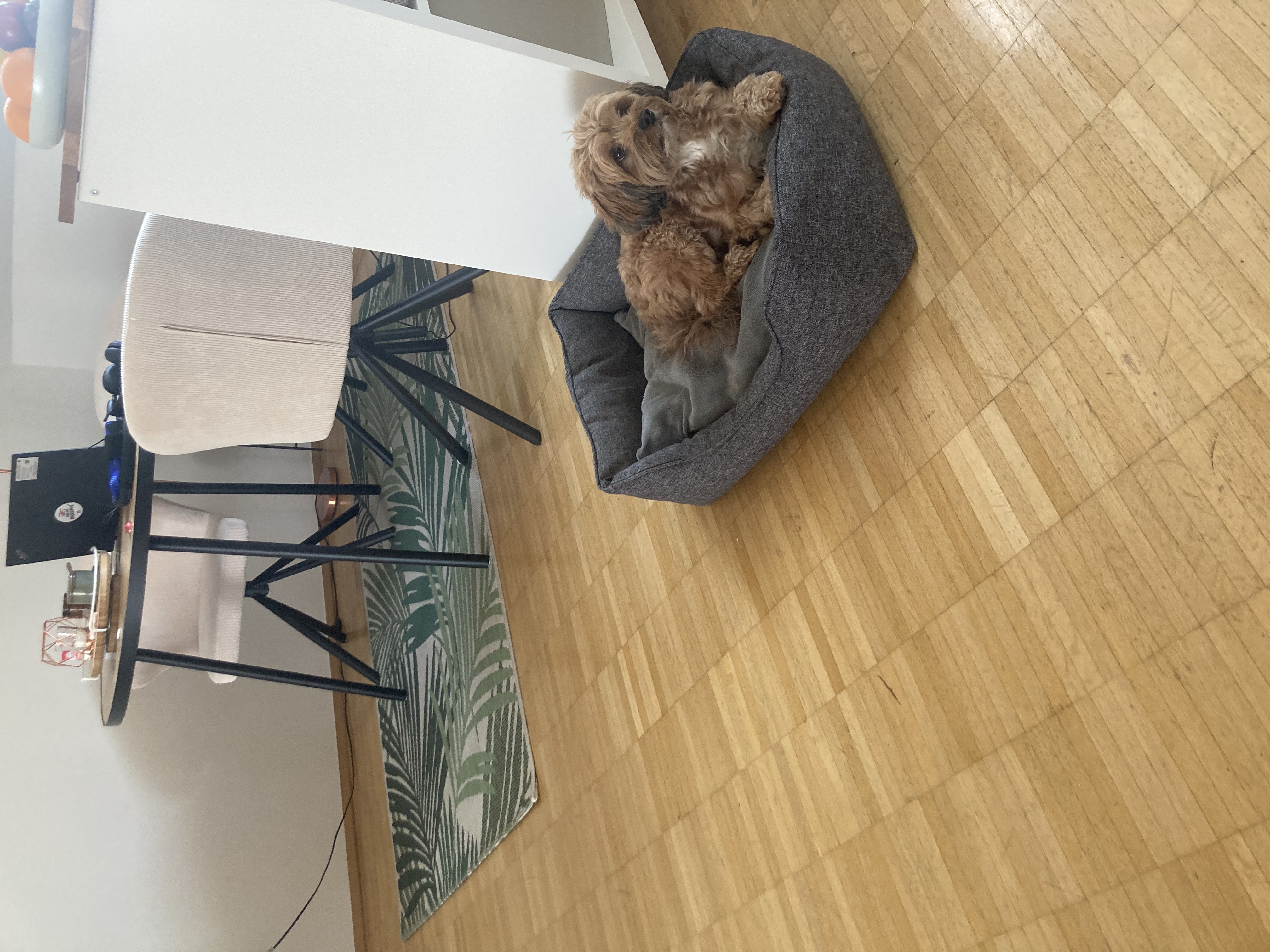 image-4
