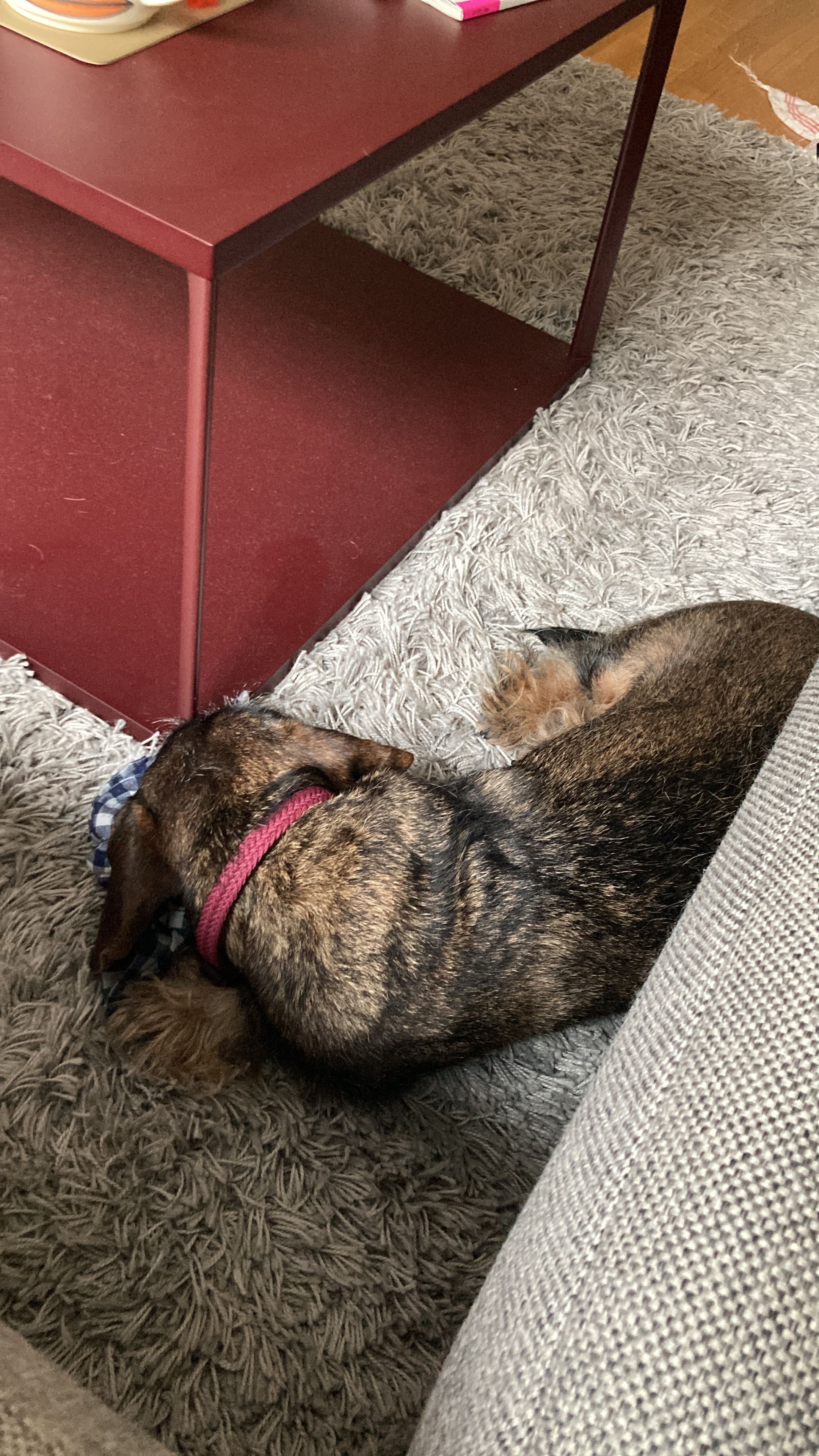 image-11