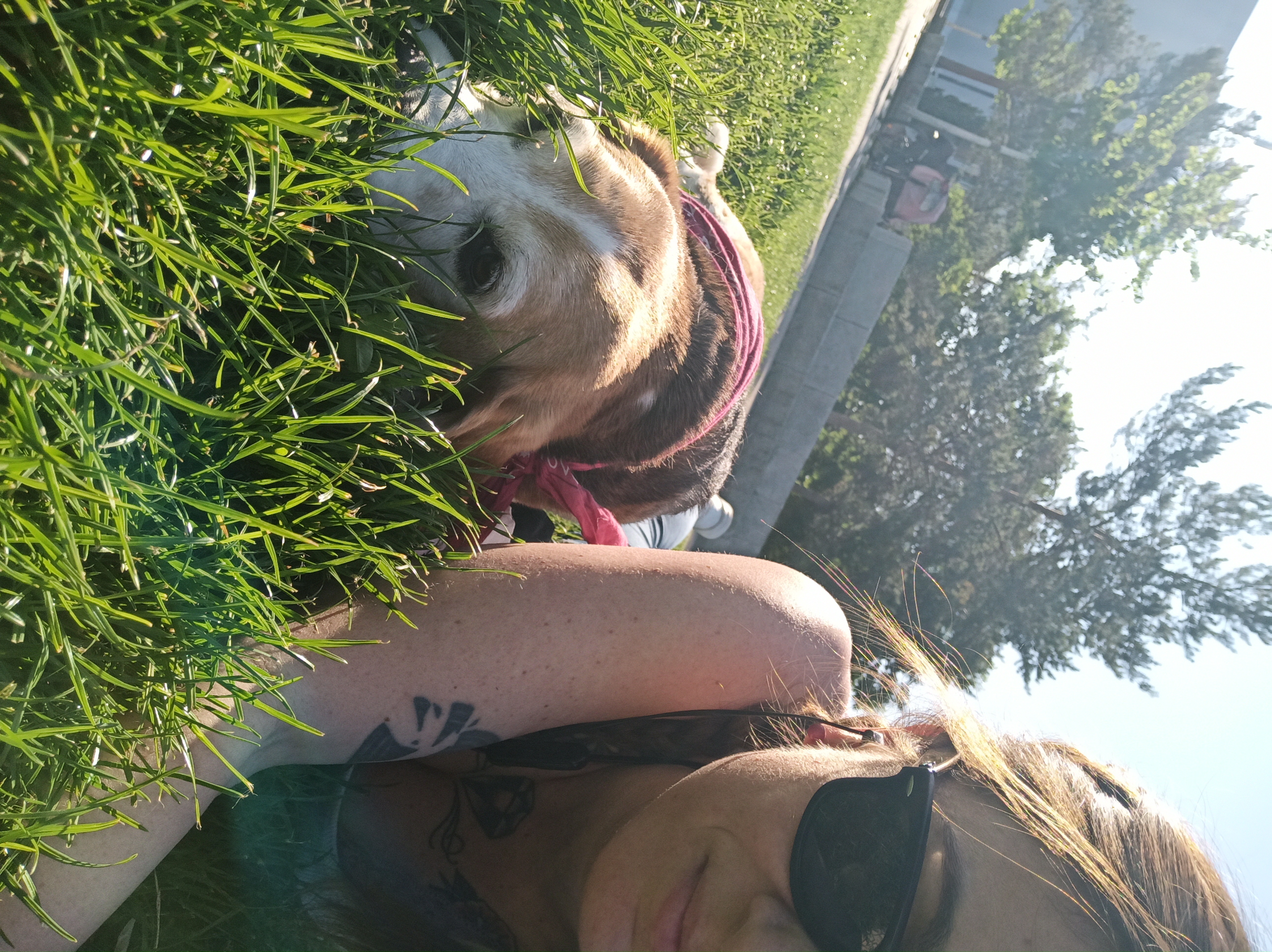 image-8