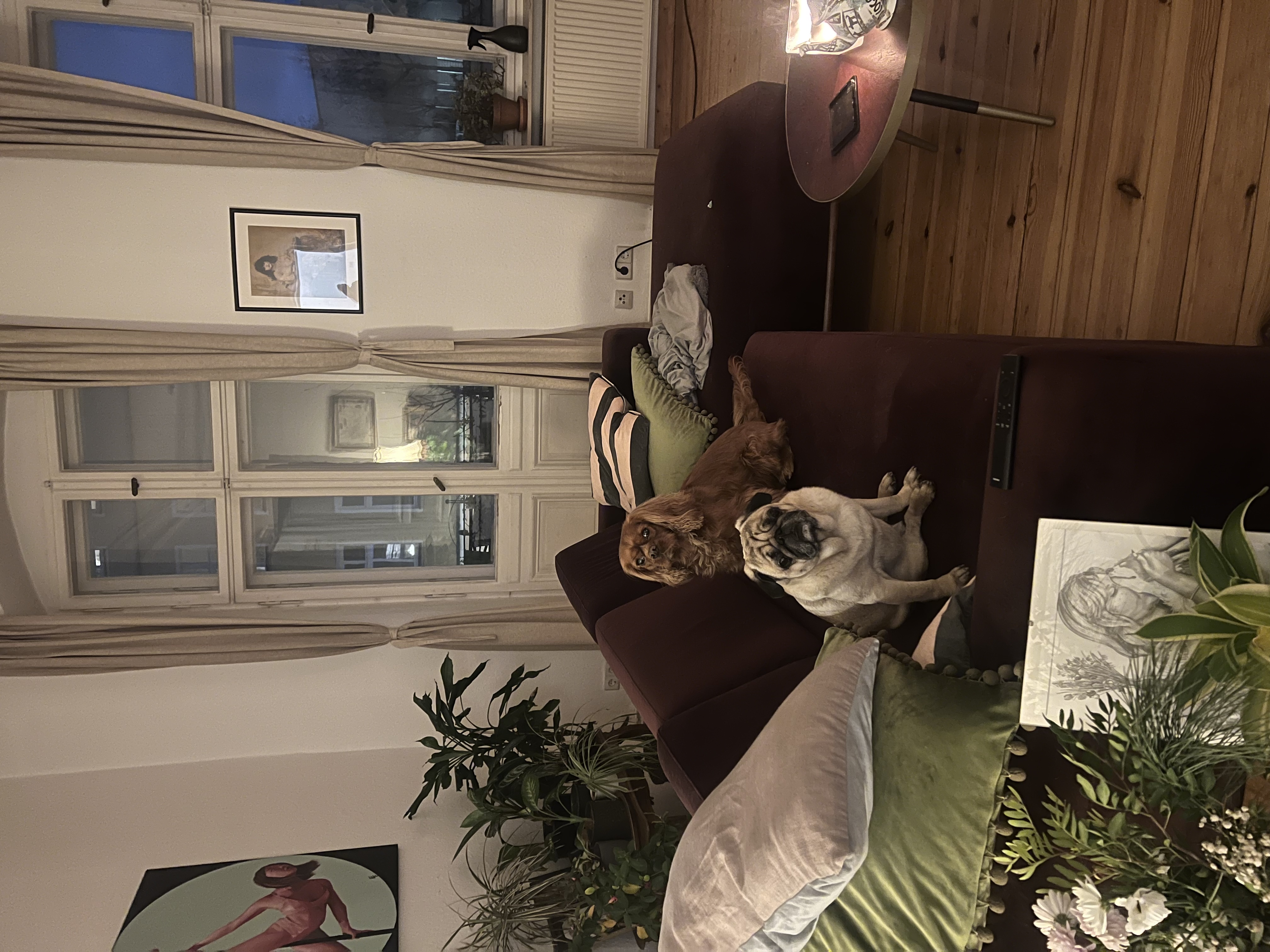 image-35