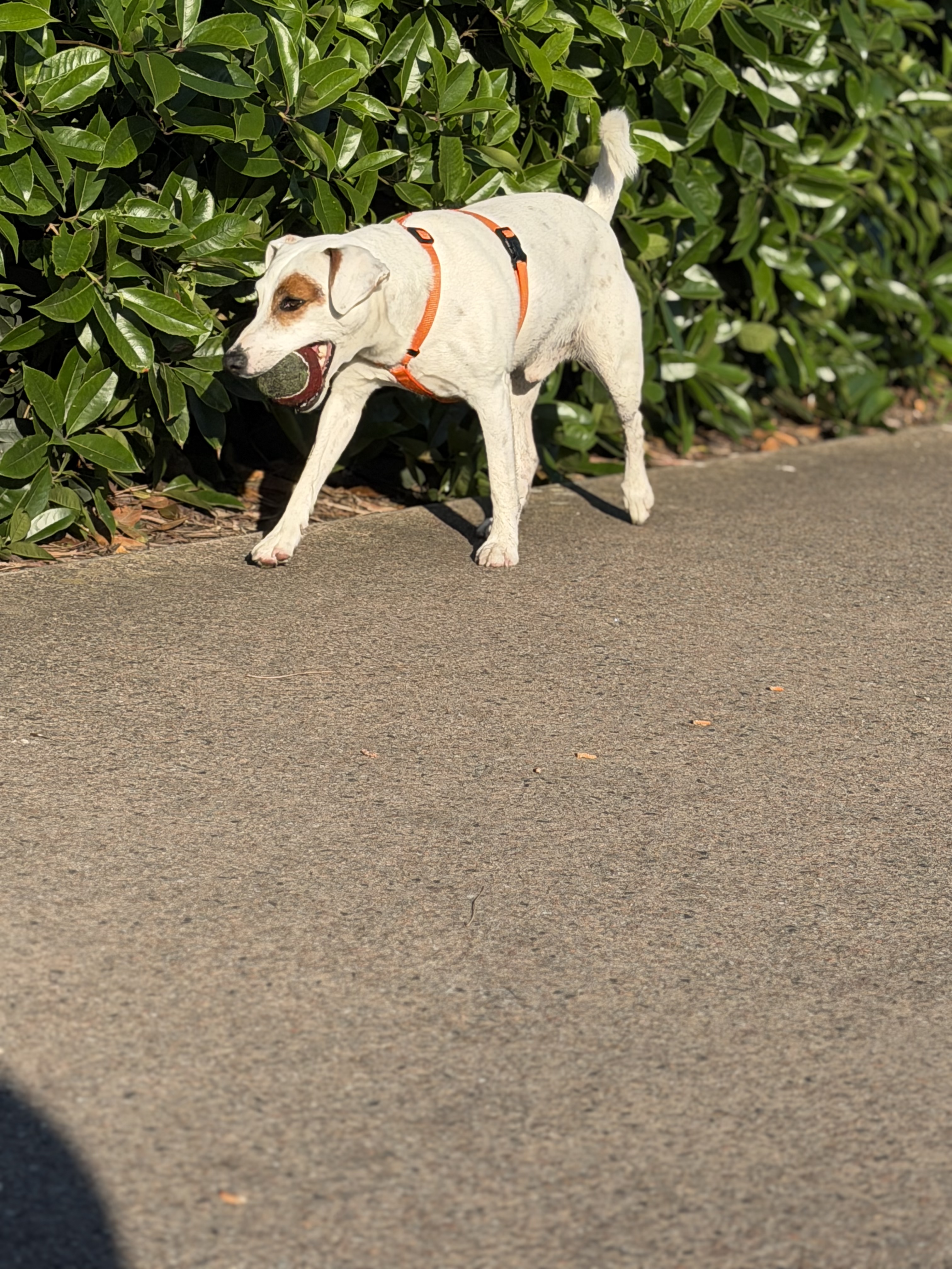 image-9