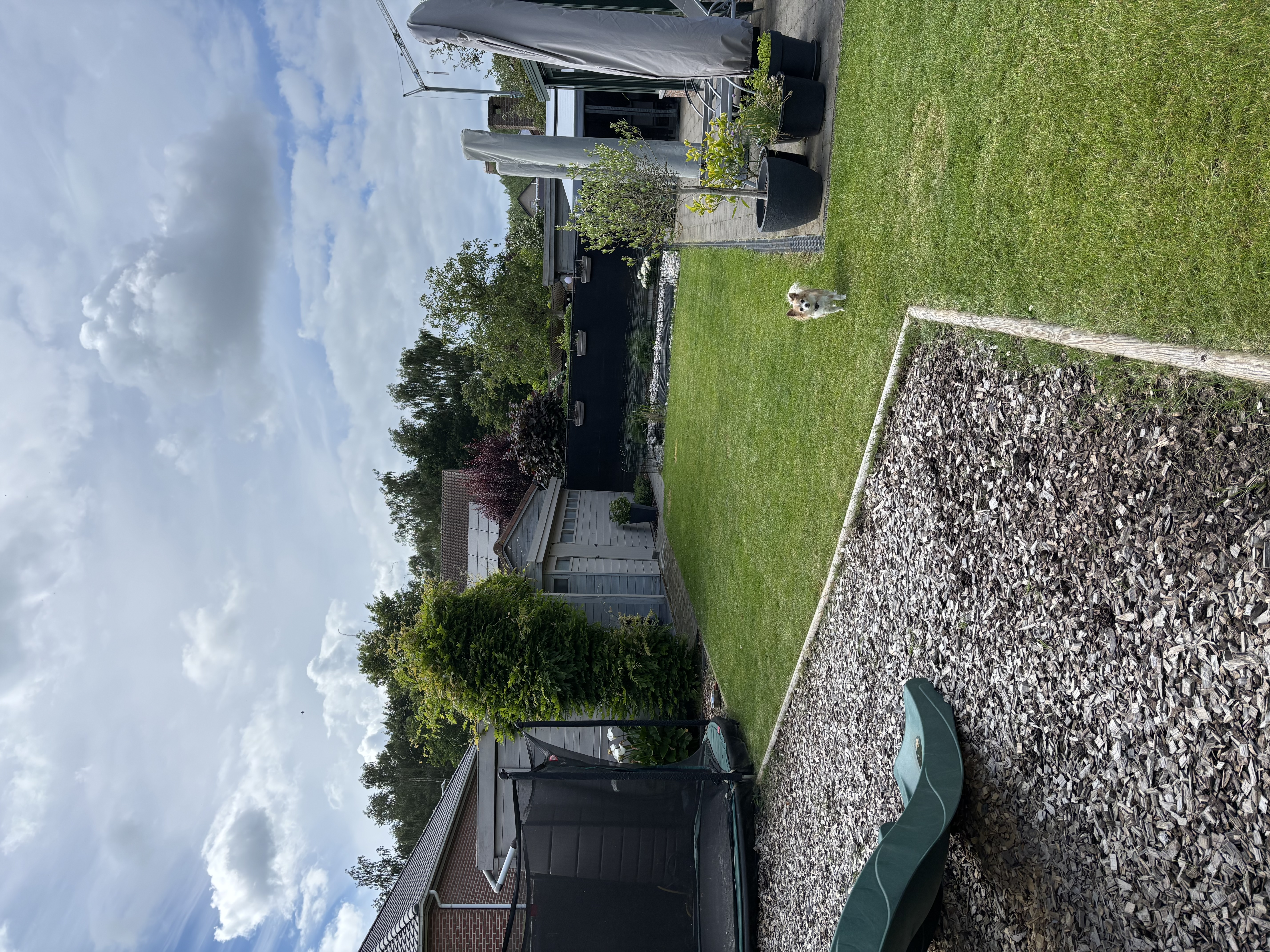 image-21