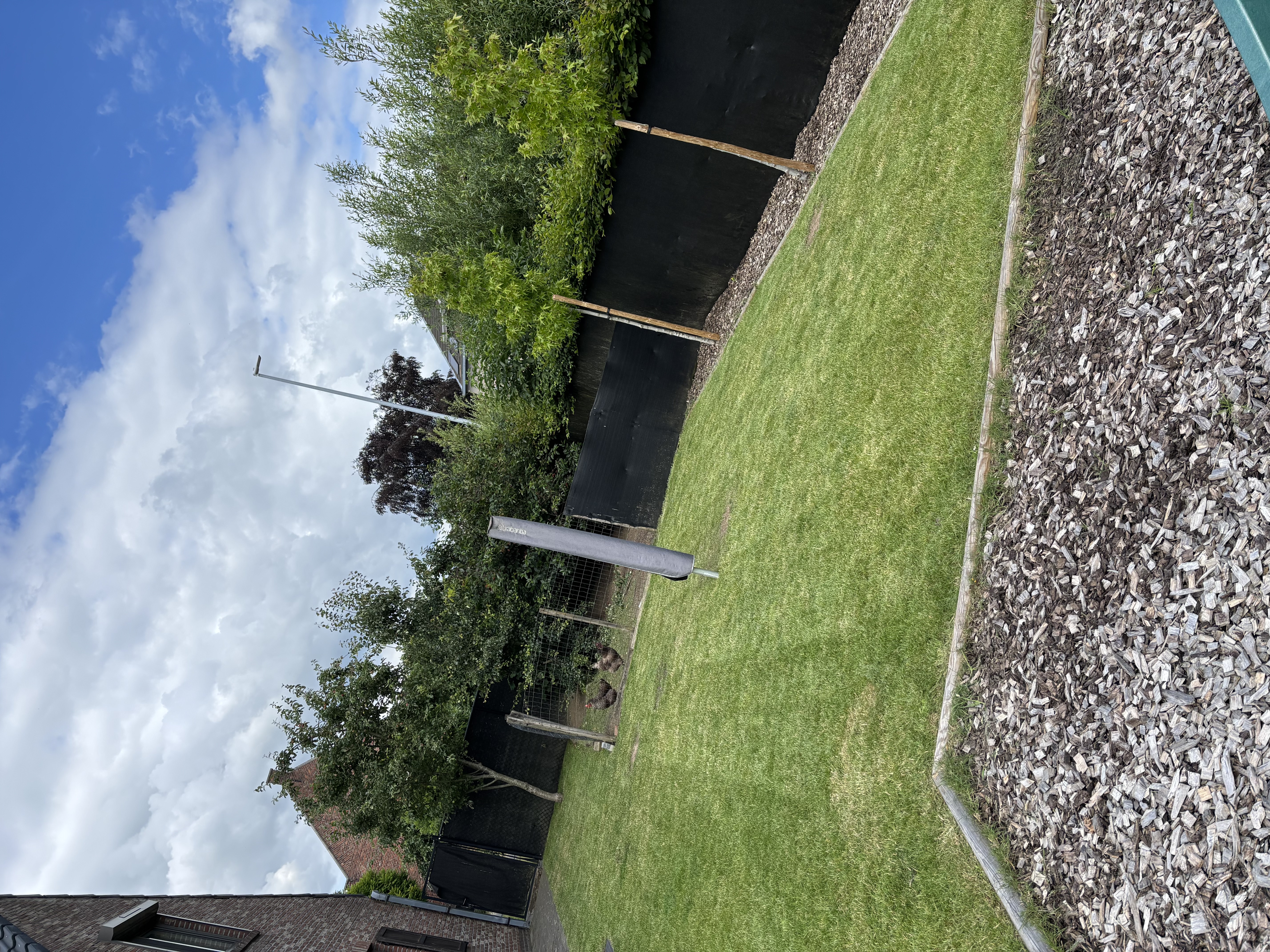 image-19