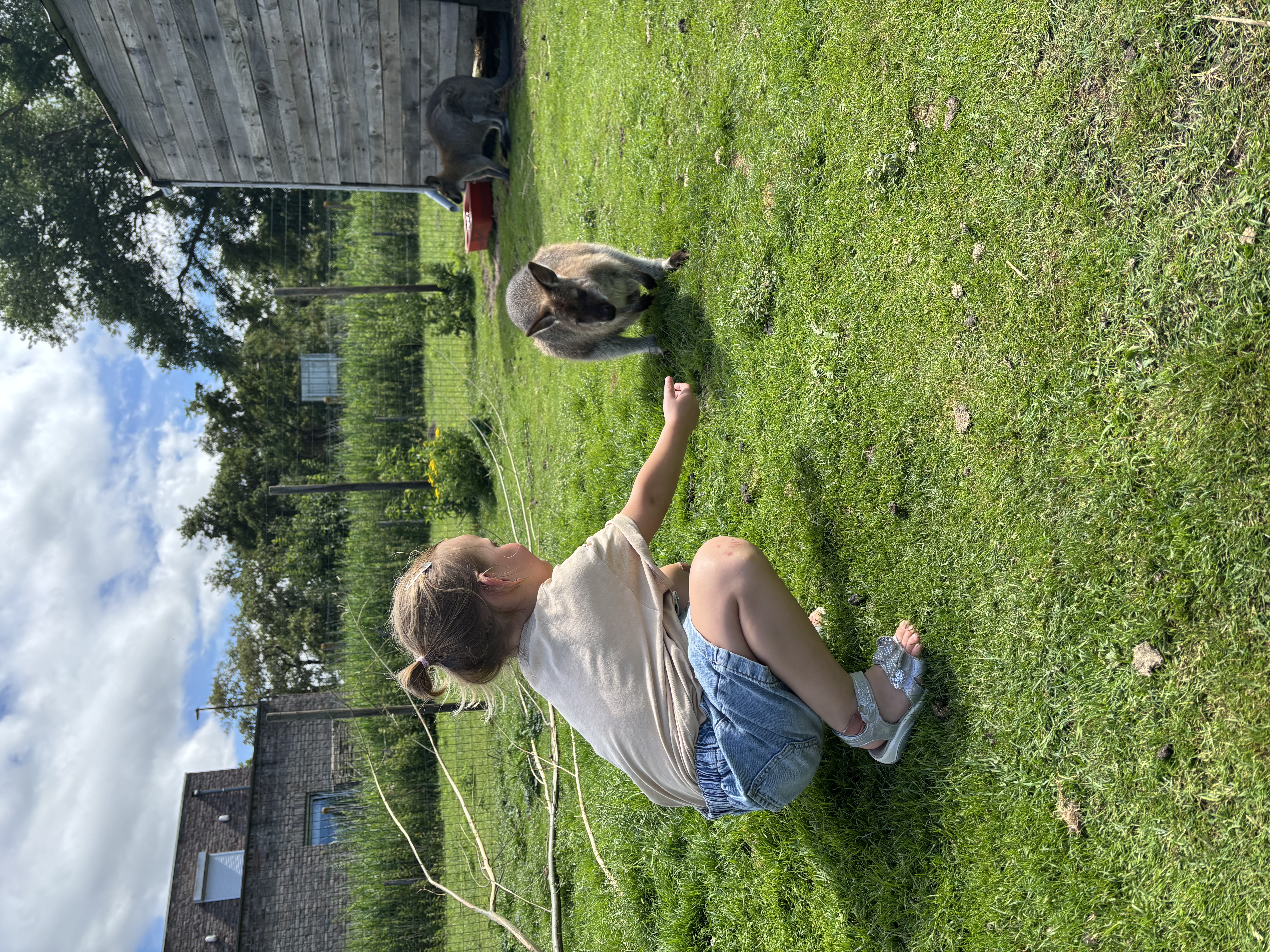 image-25