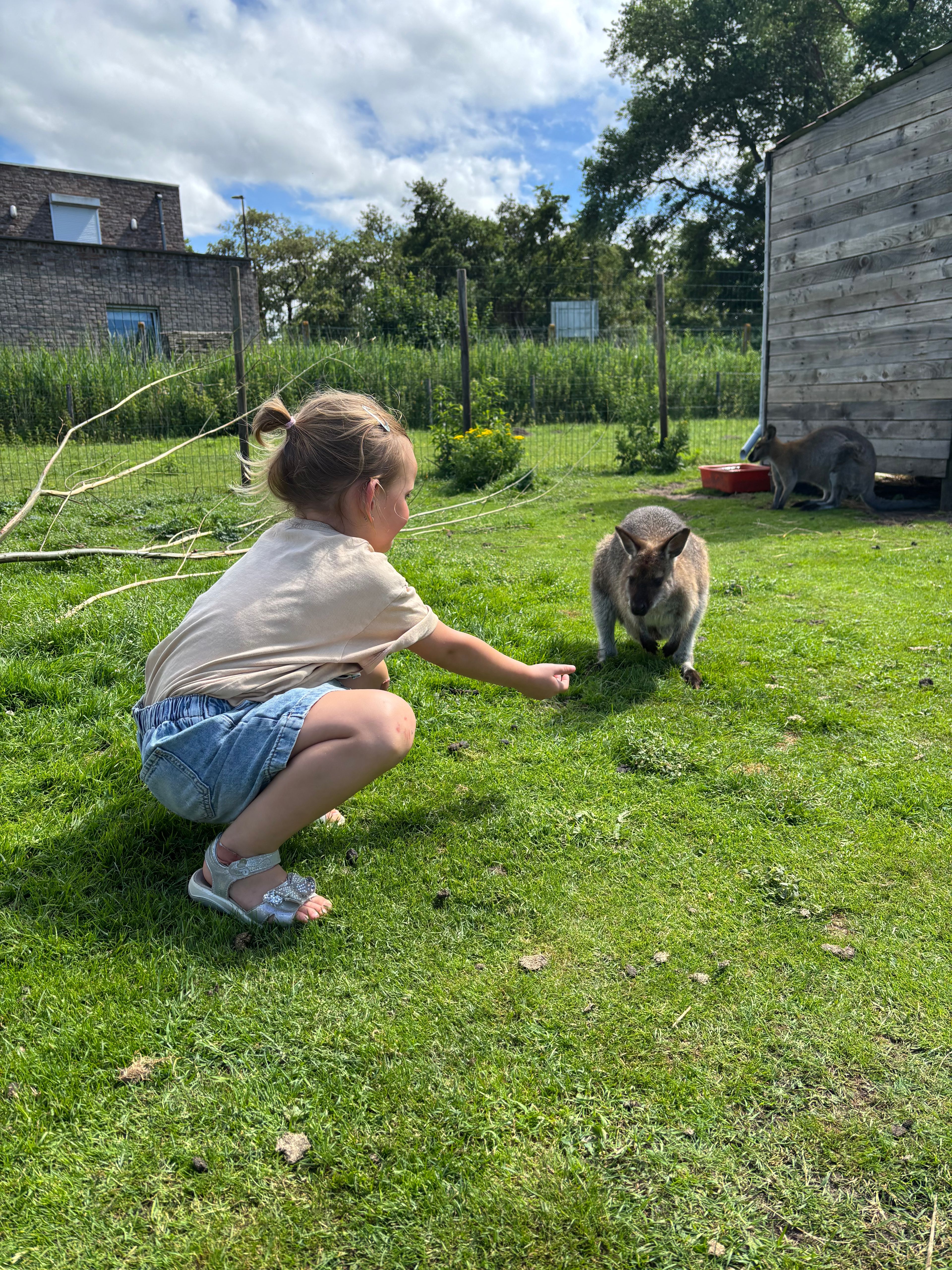 image-25