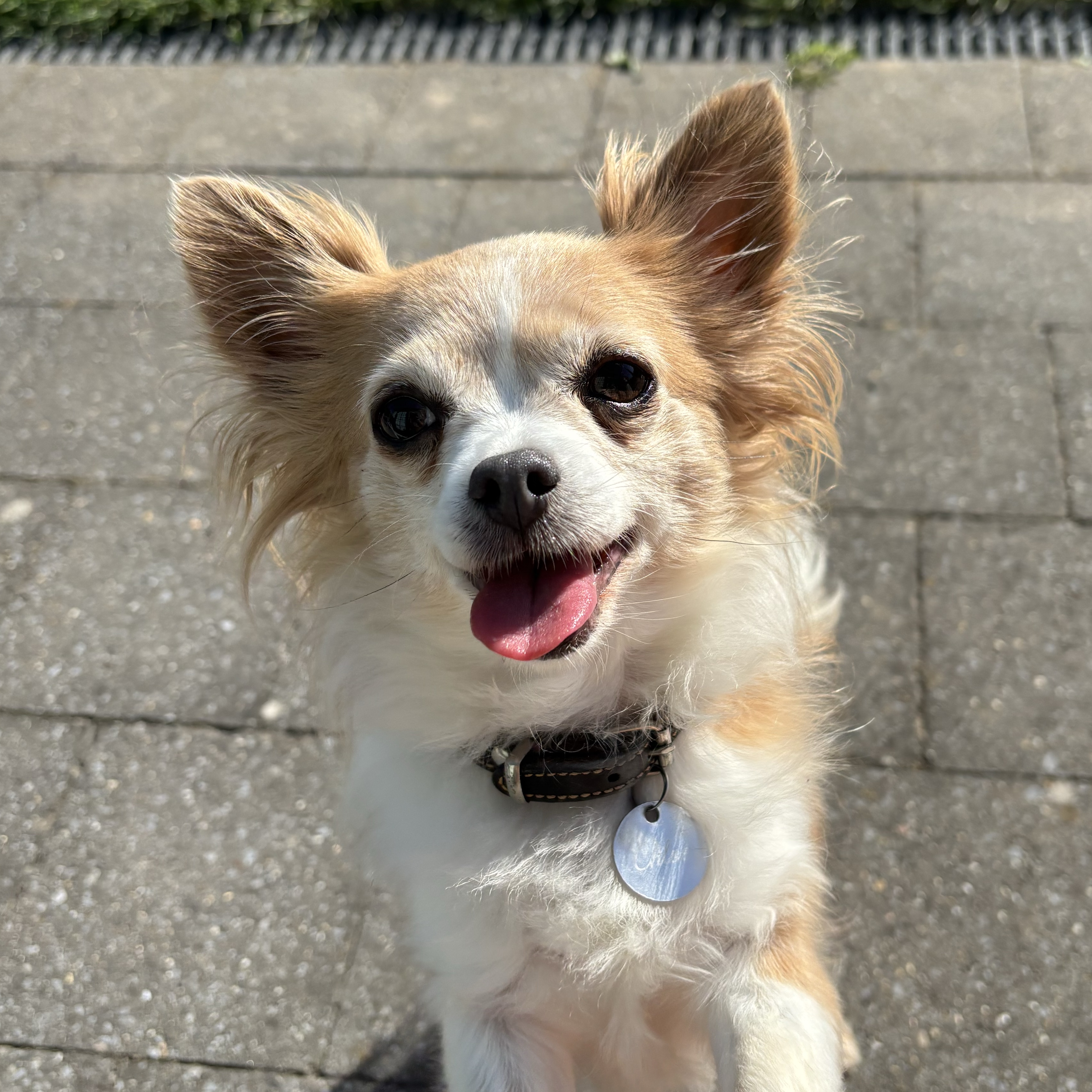 Chloé