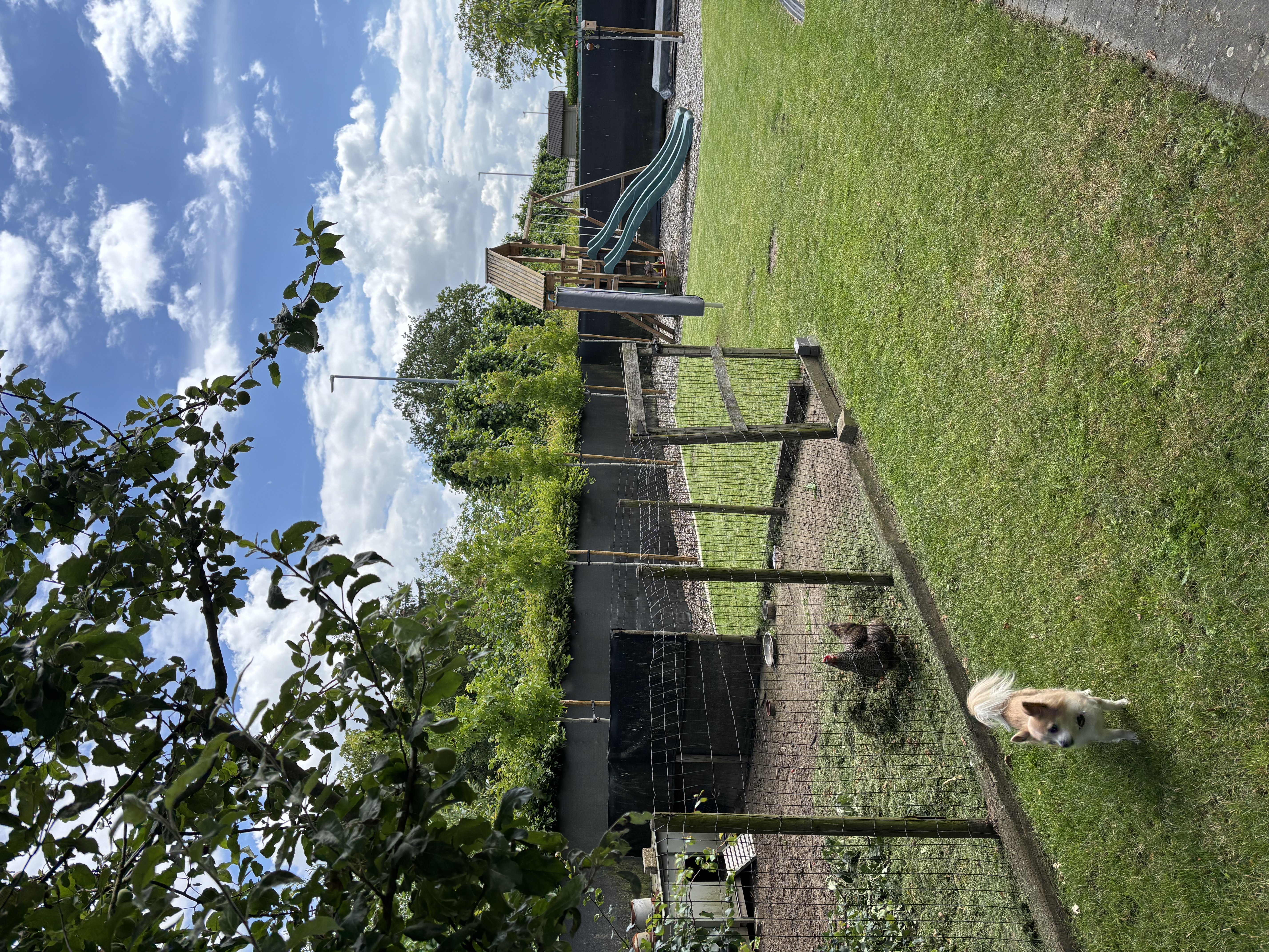 image-20