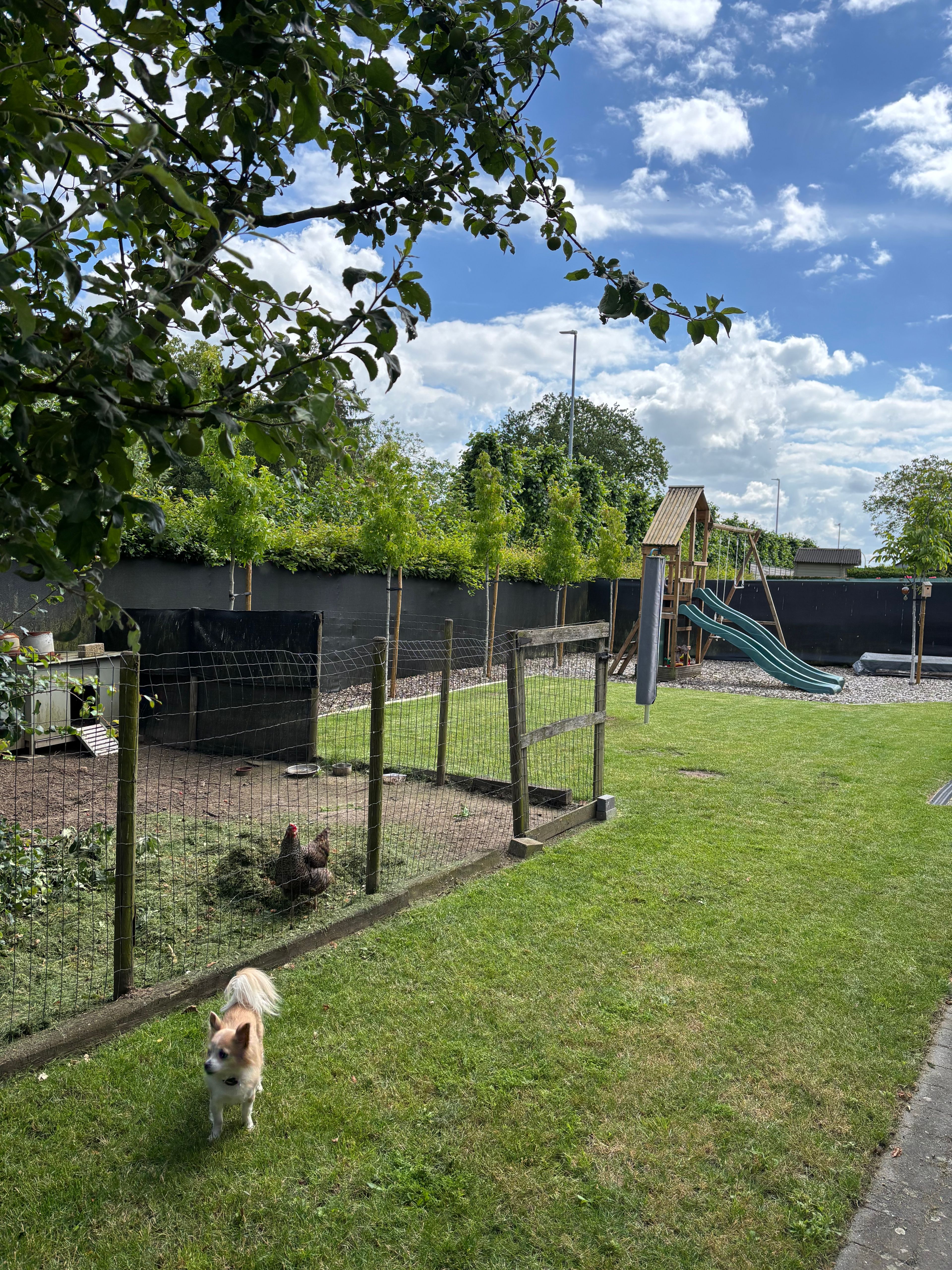 image-20