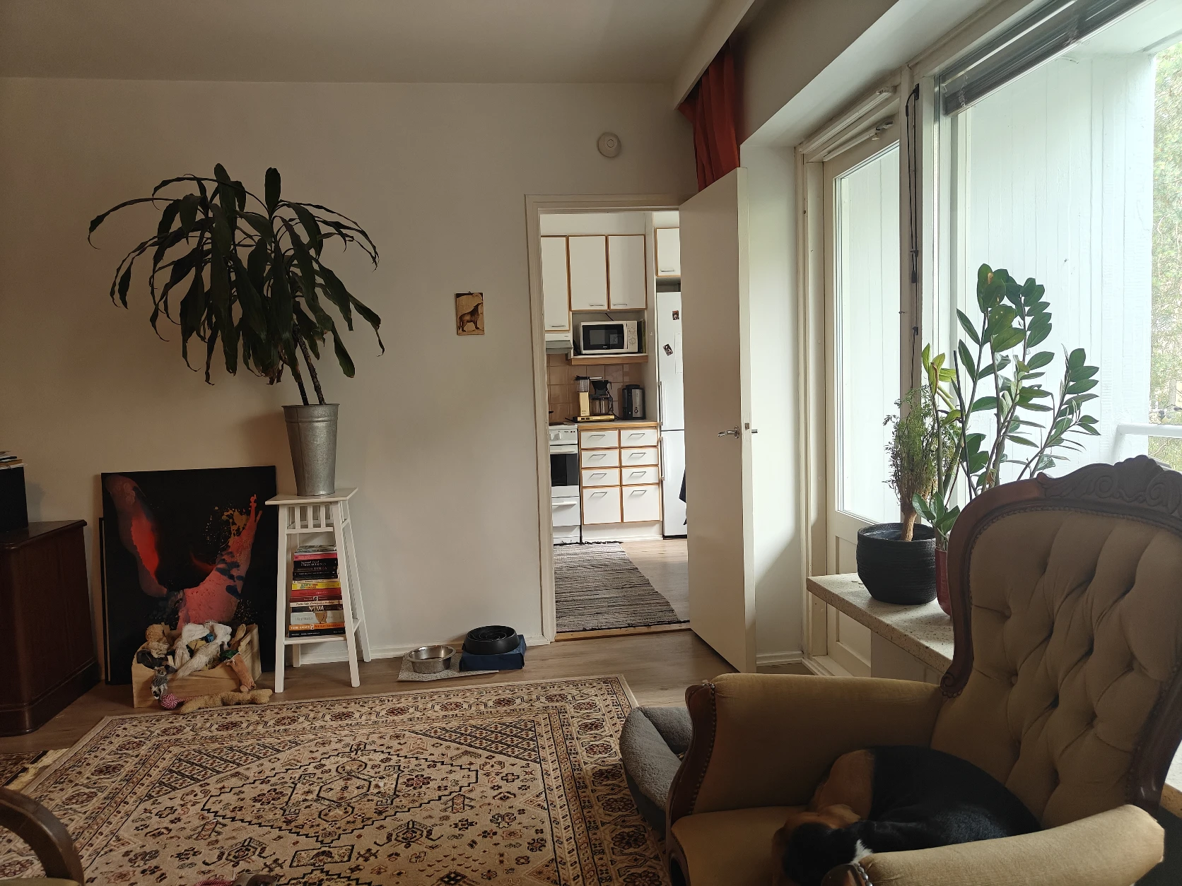 image-13