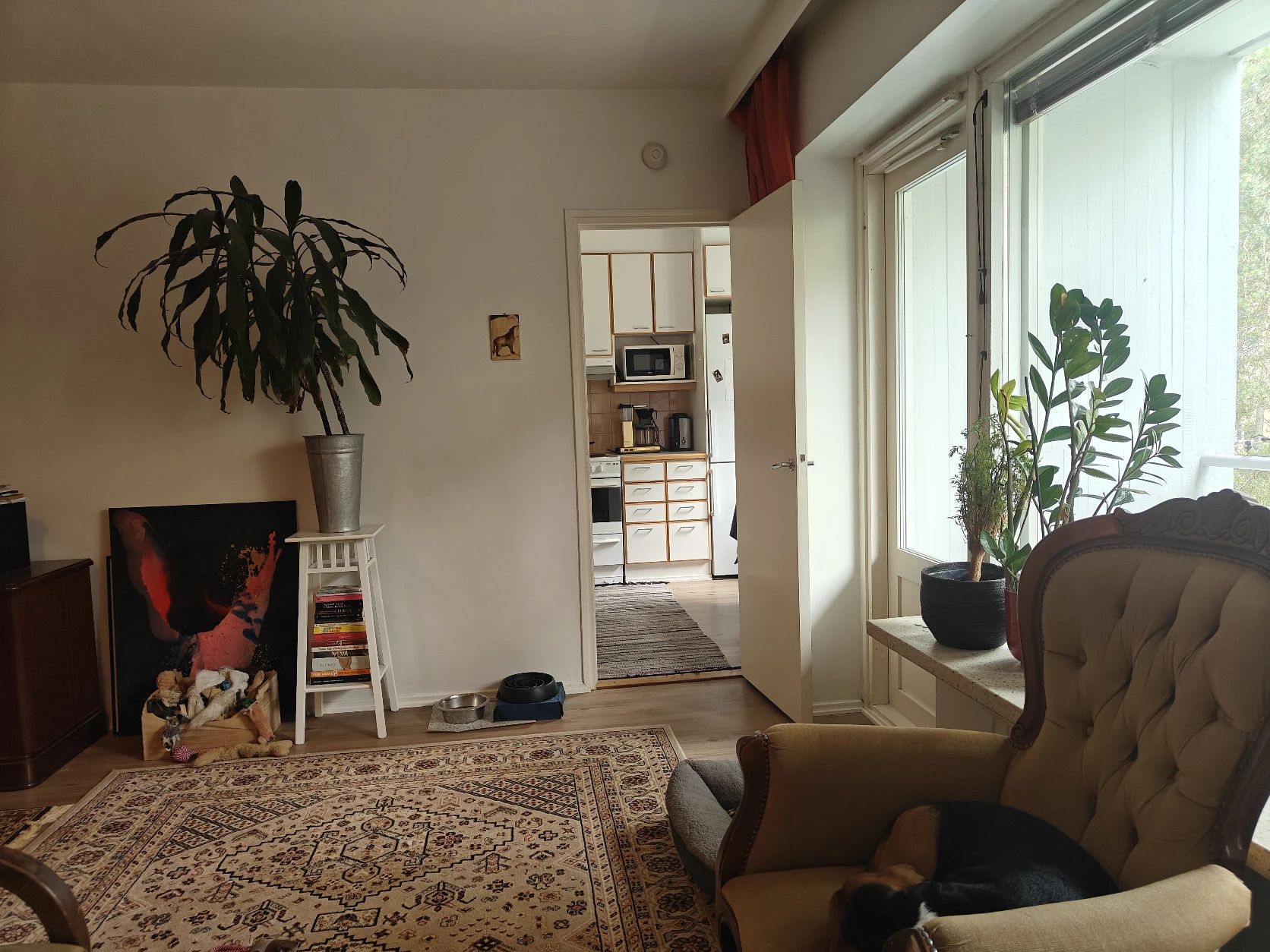 image-13
