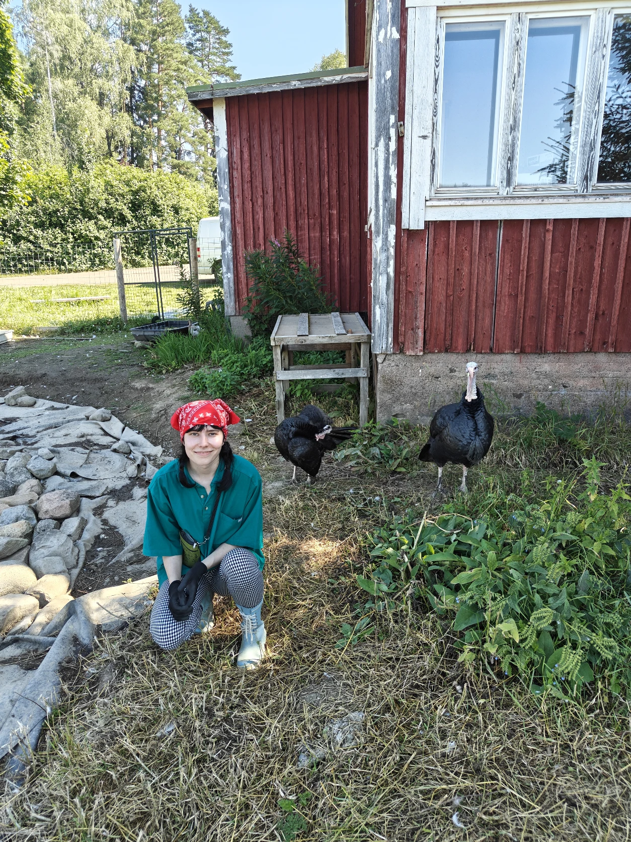 image-10