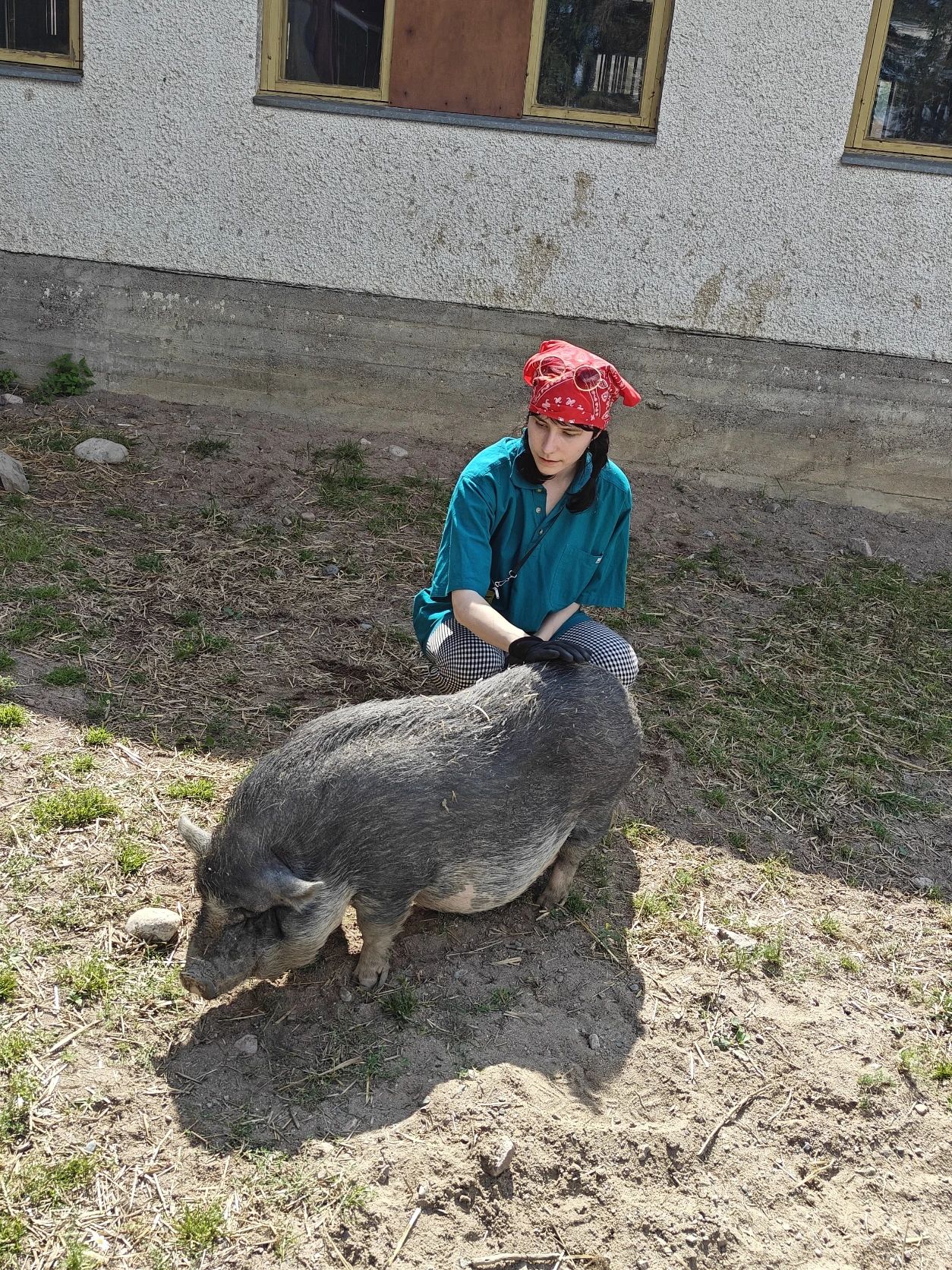 image-9
