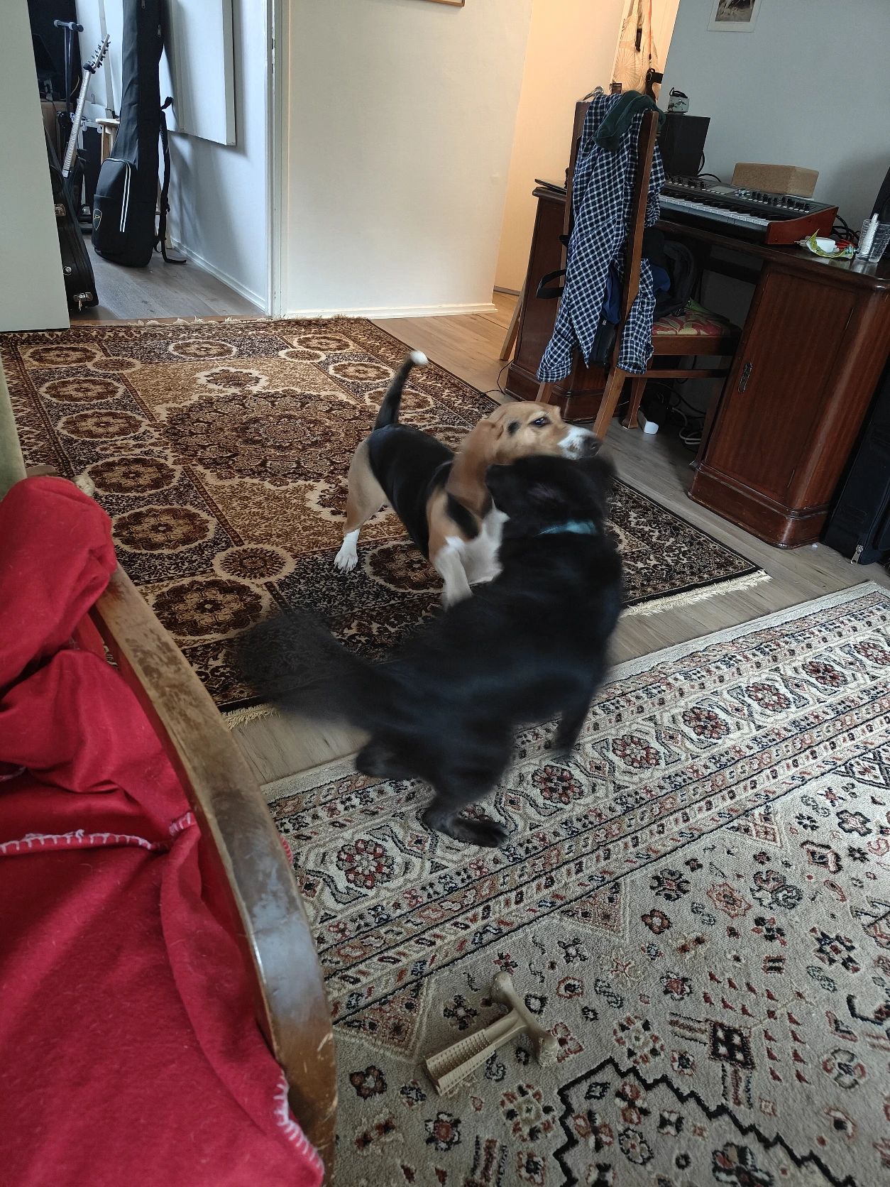 image-10