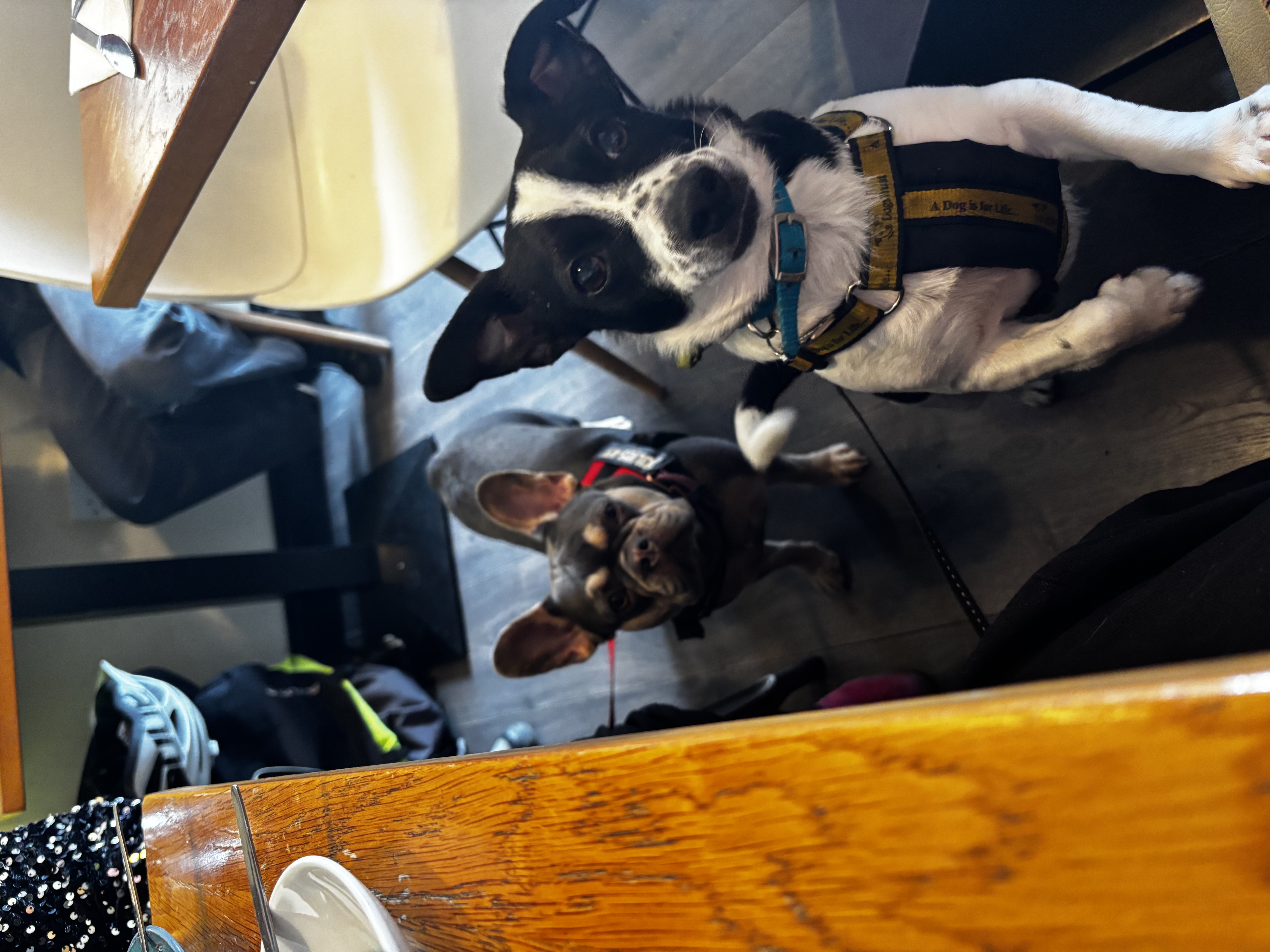 image-10