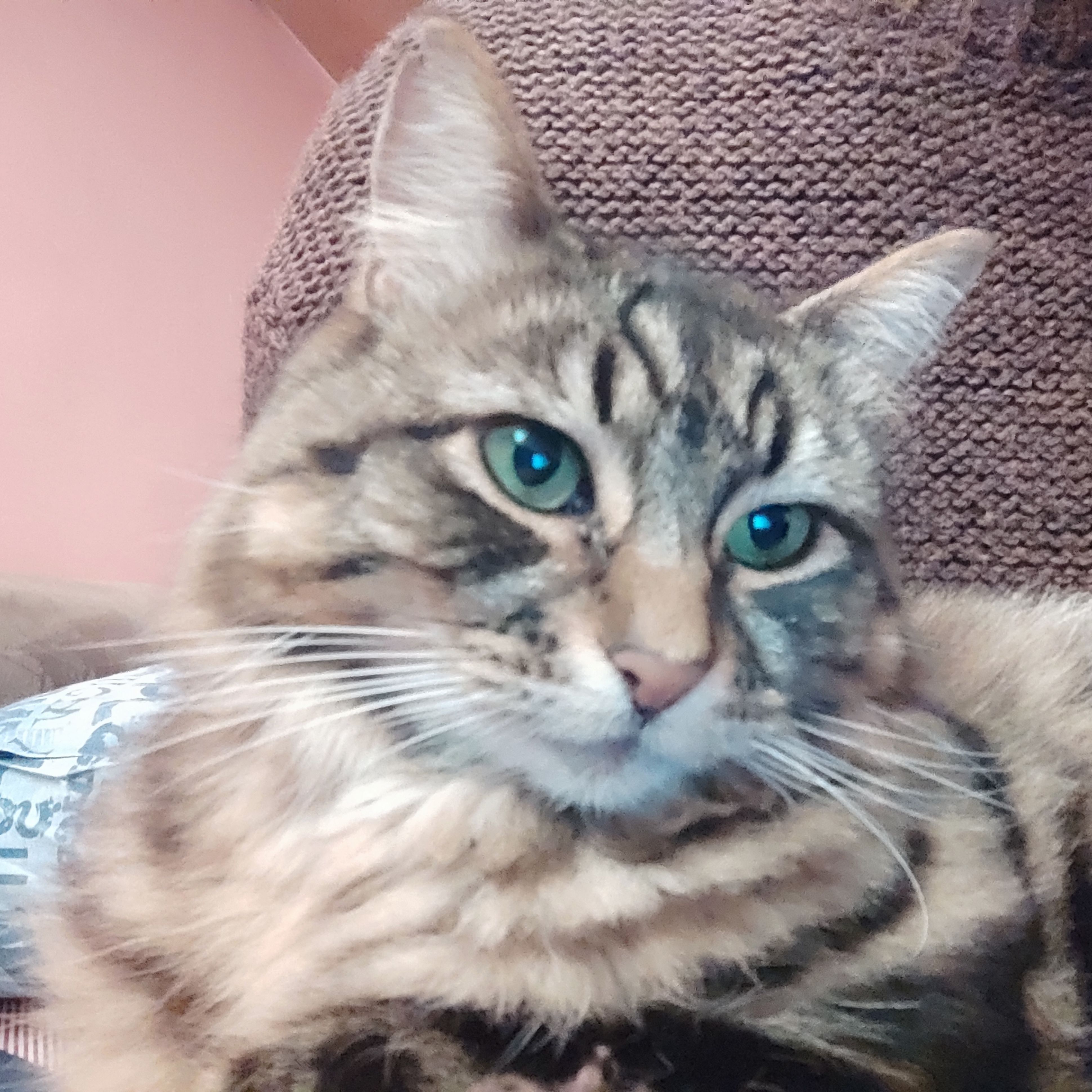 Fuzz