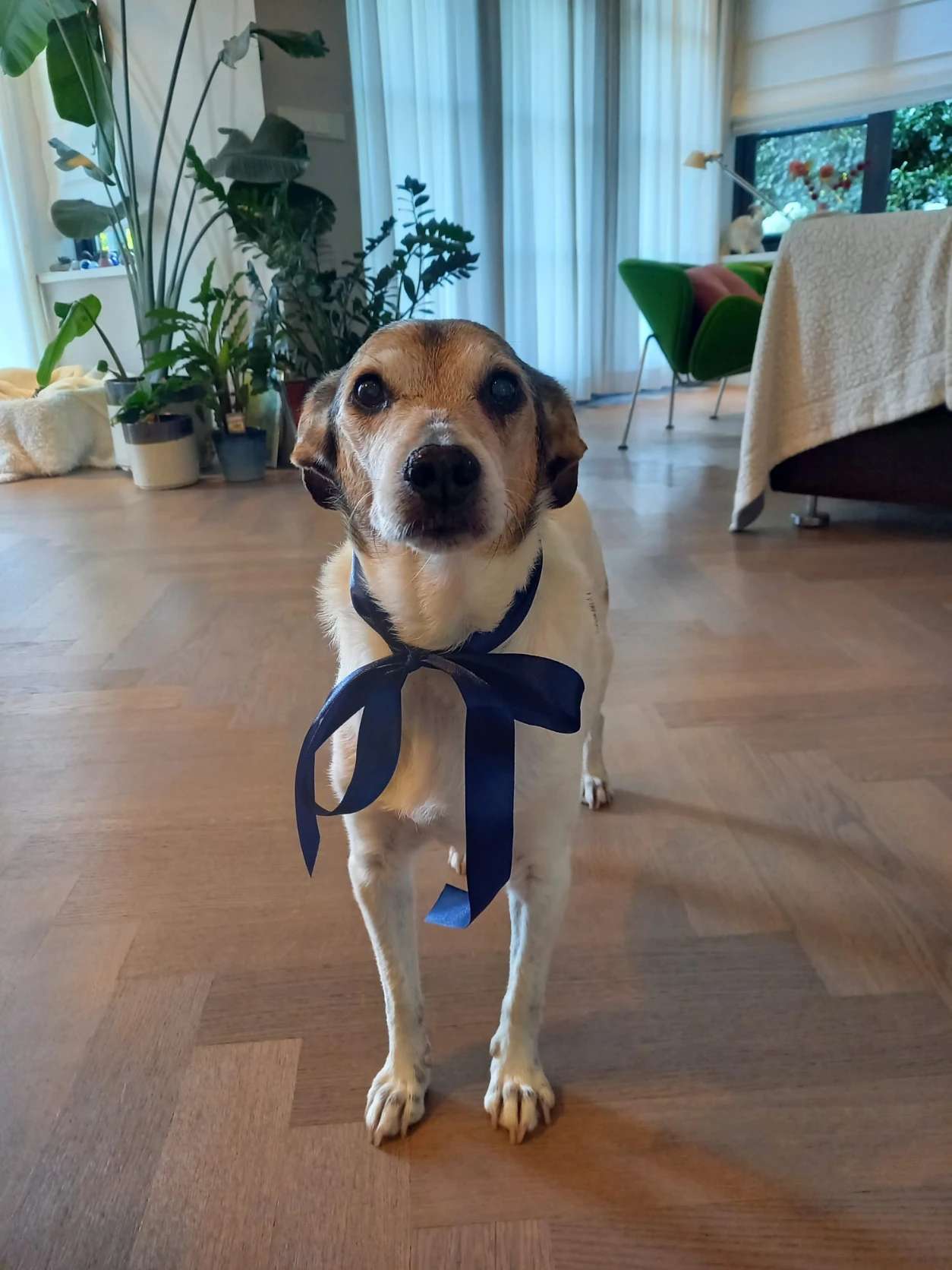 image-8