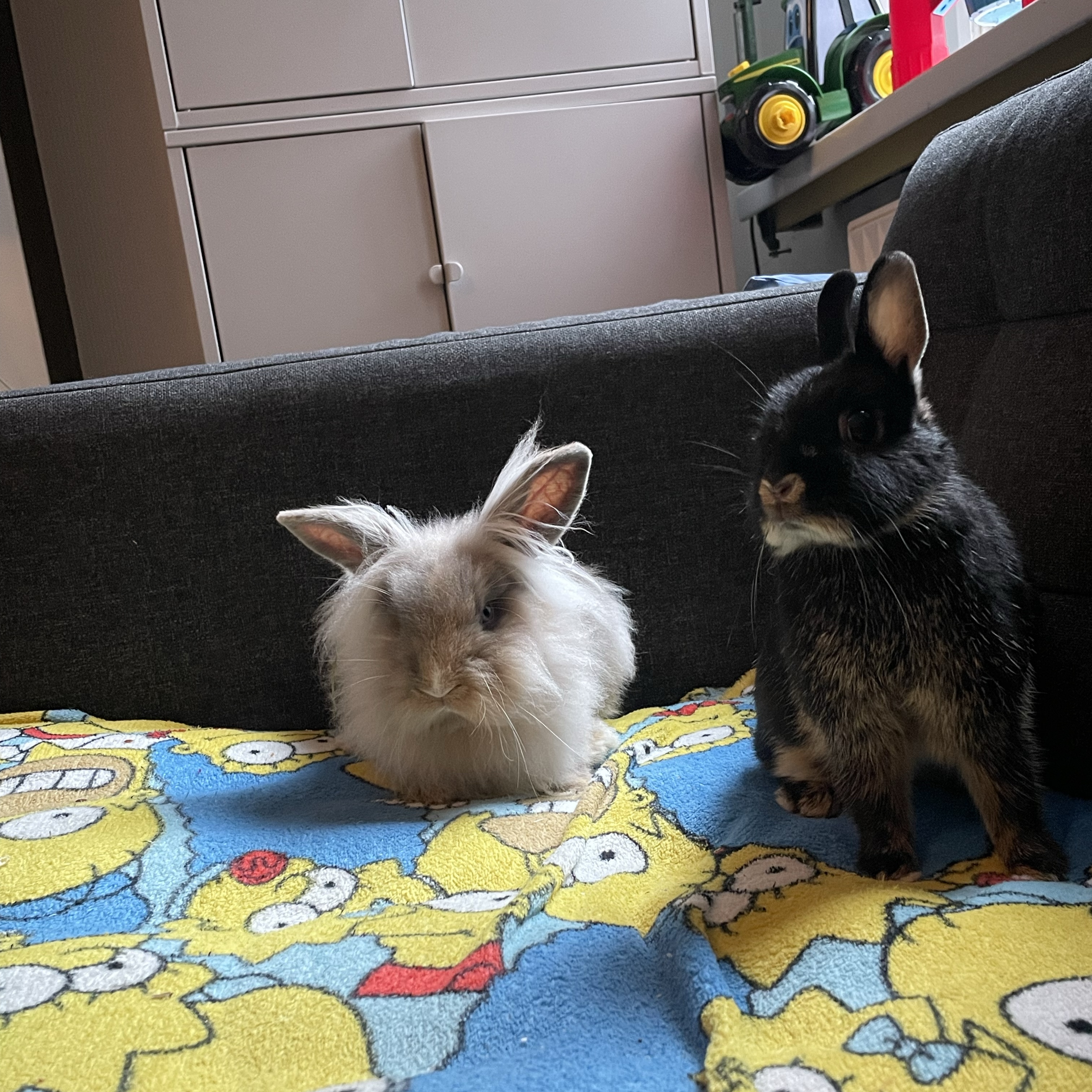 Sue Sprout and striker 