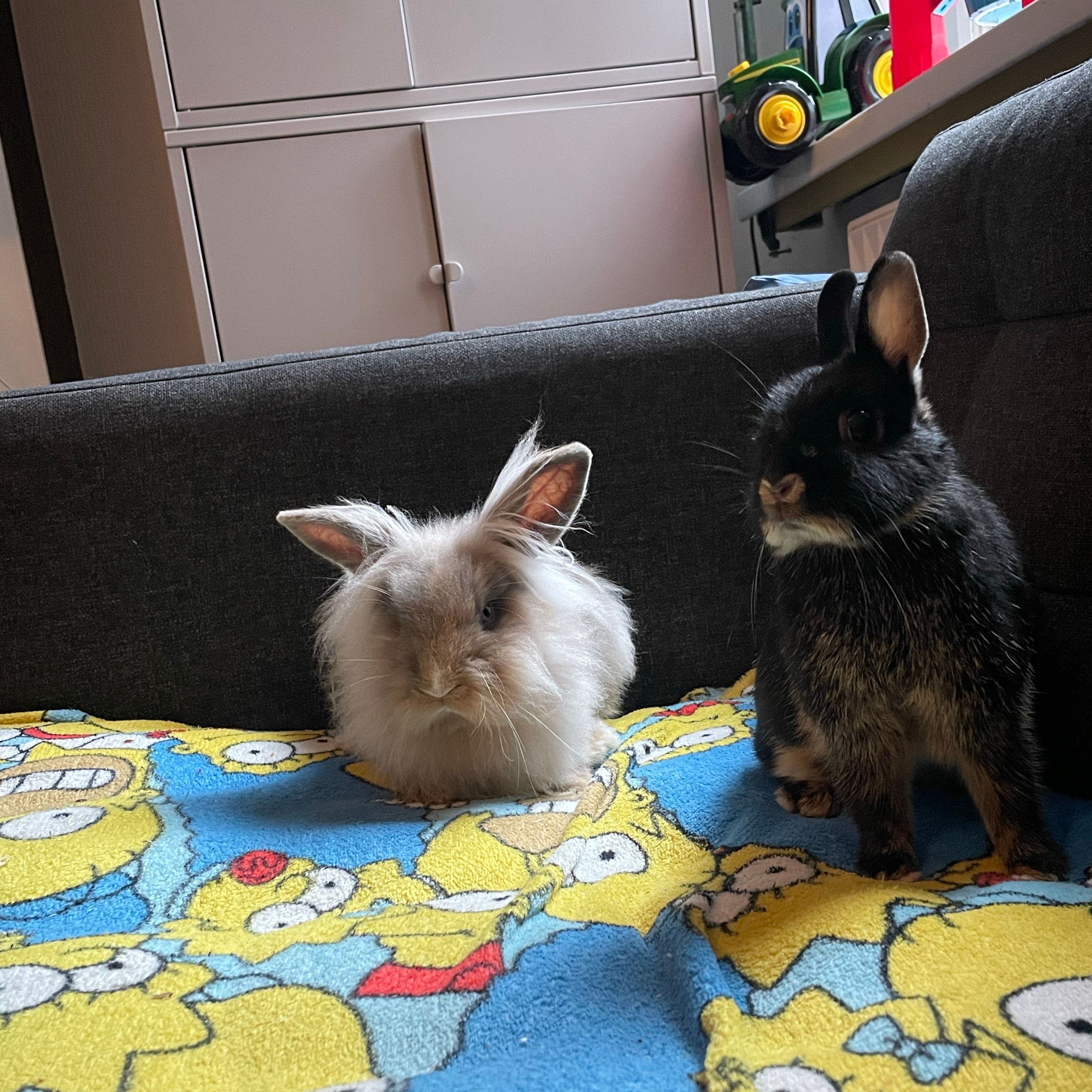 Sue Sprout and striker