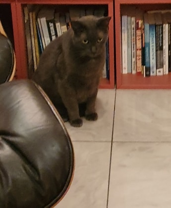 image-6