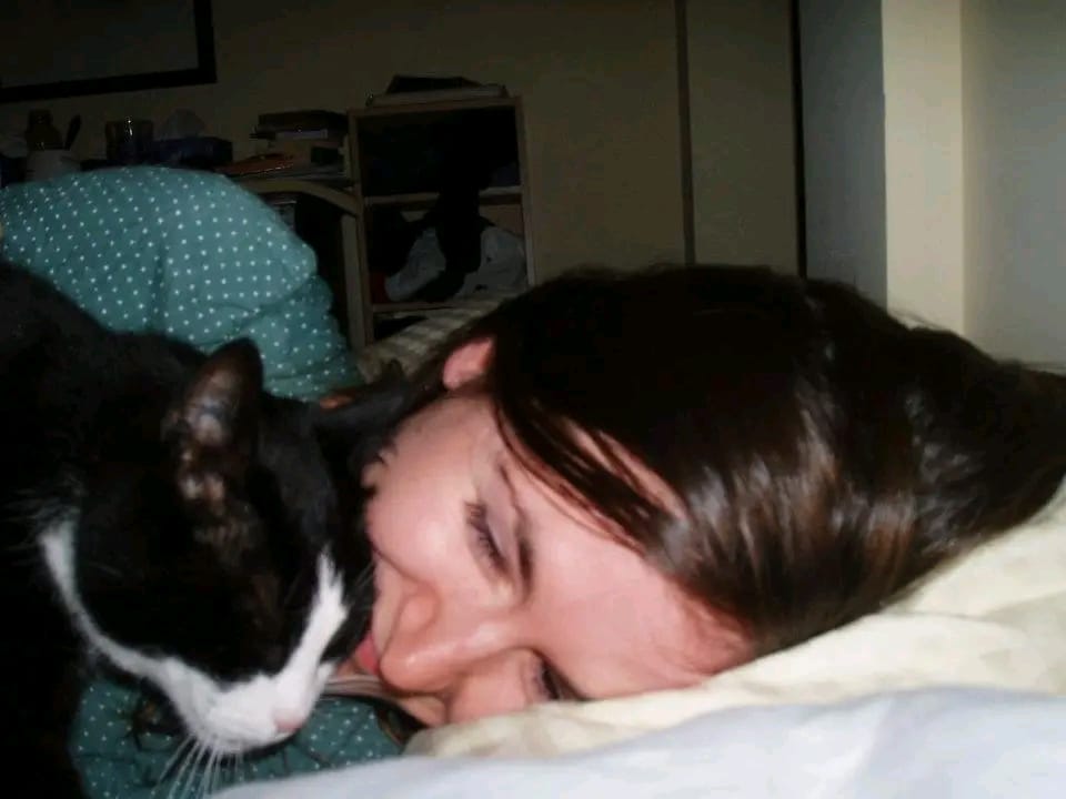 image-5