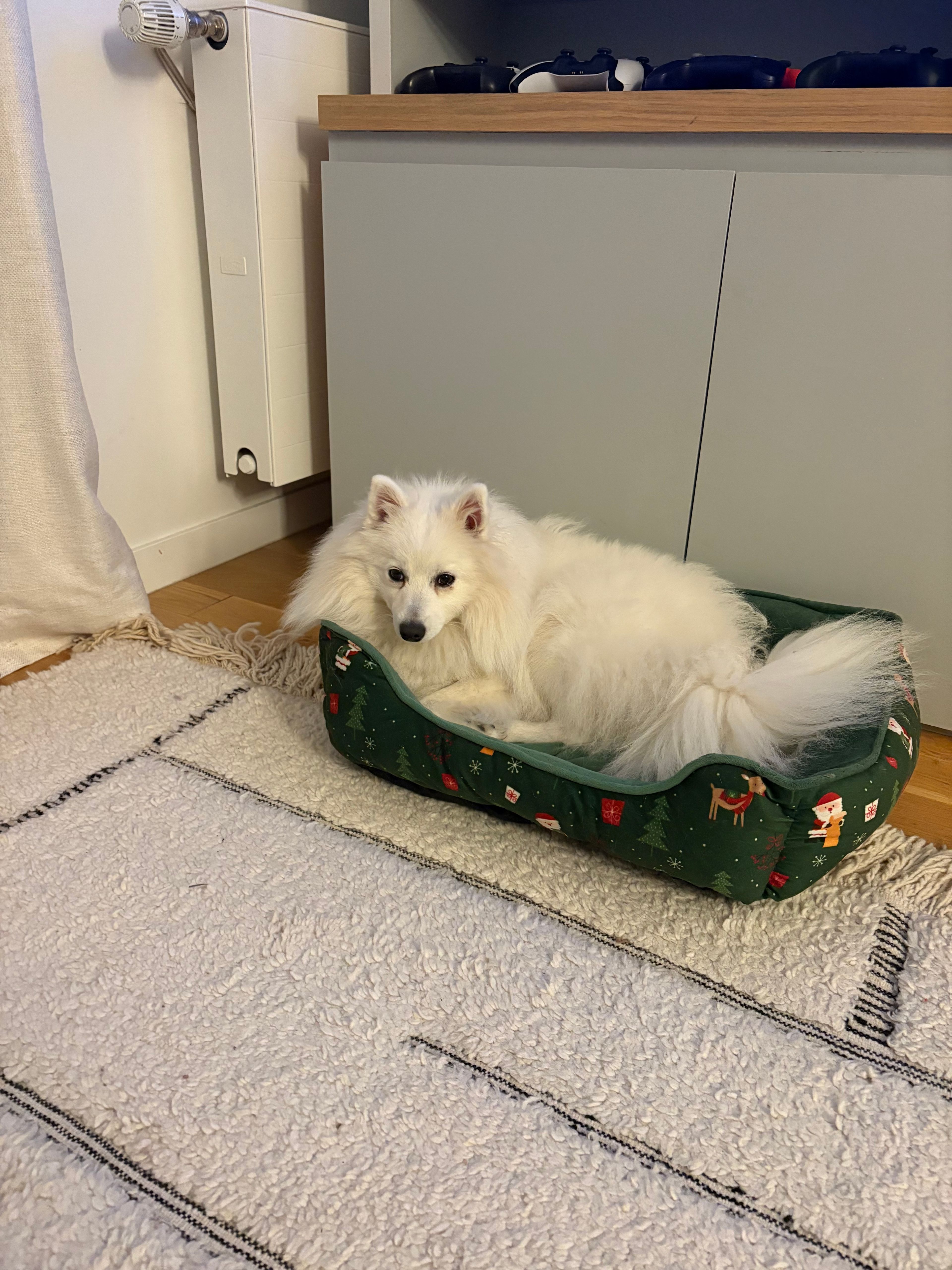 image-13