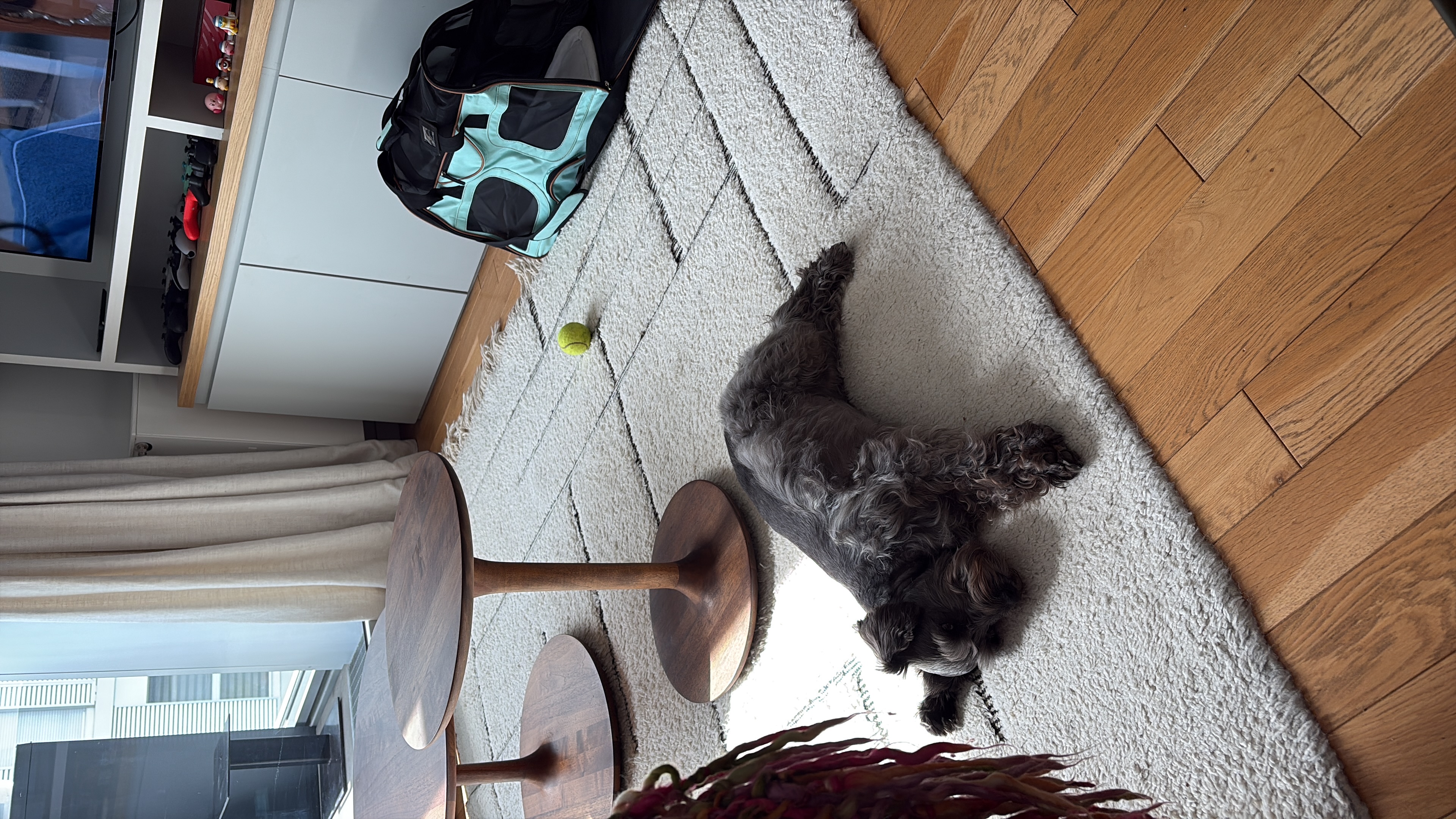 image-11