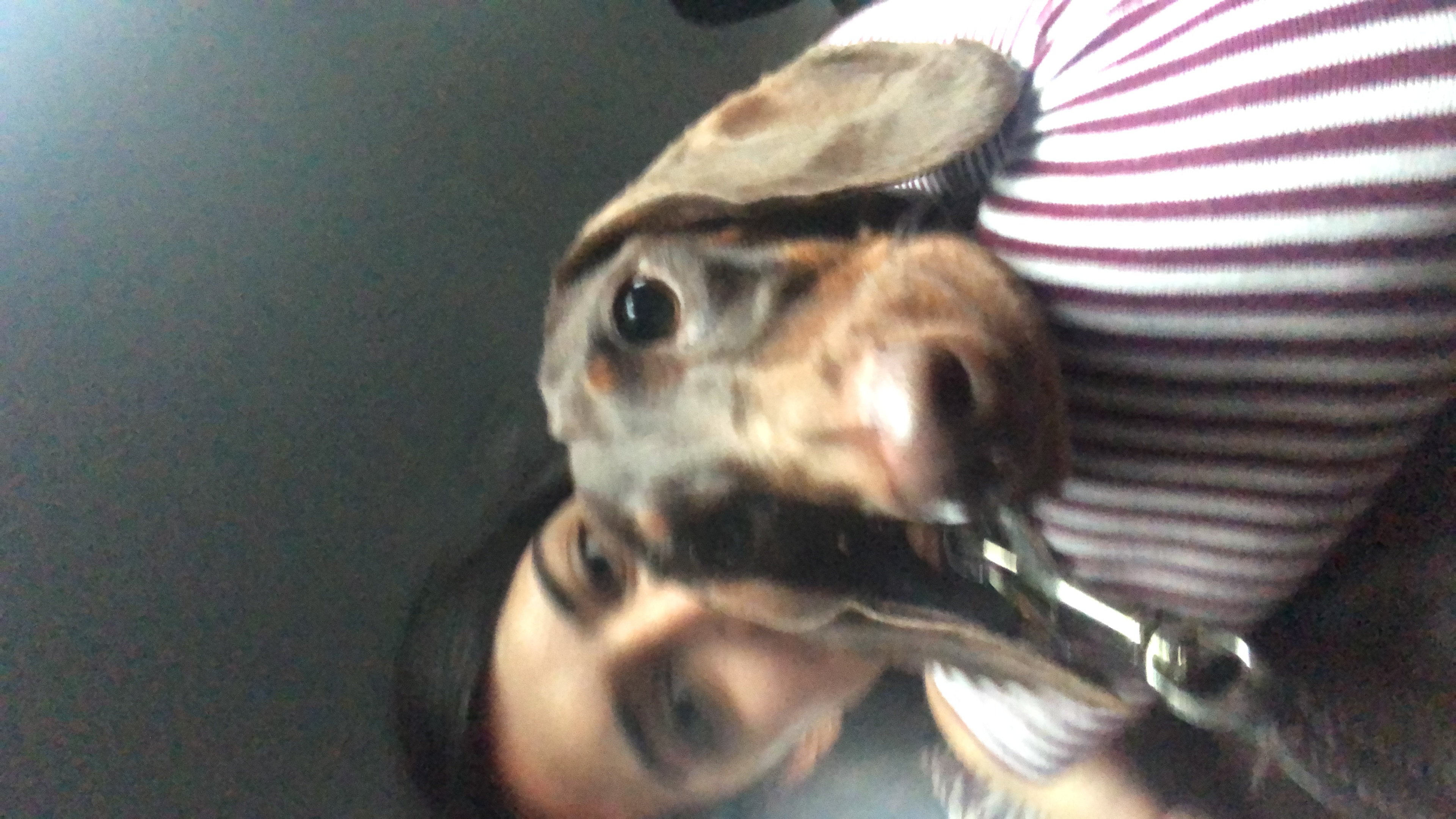 image-6