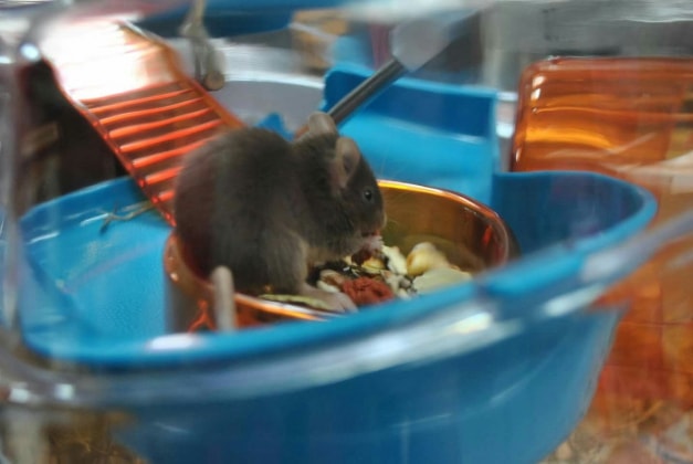 image-7