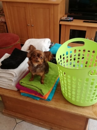 image-14