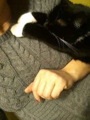 image-8