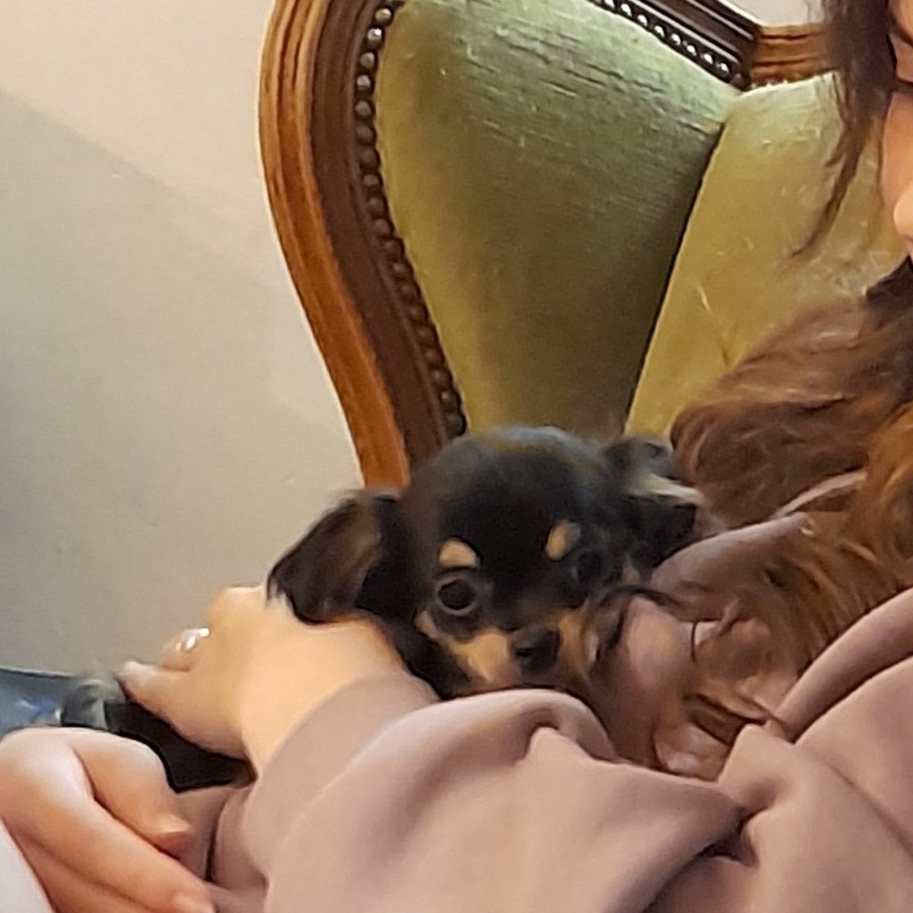 Milo