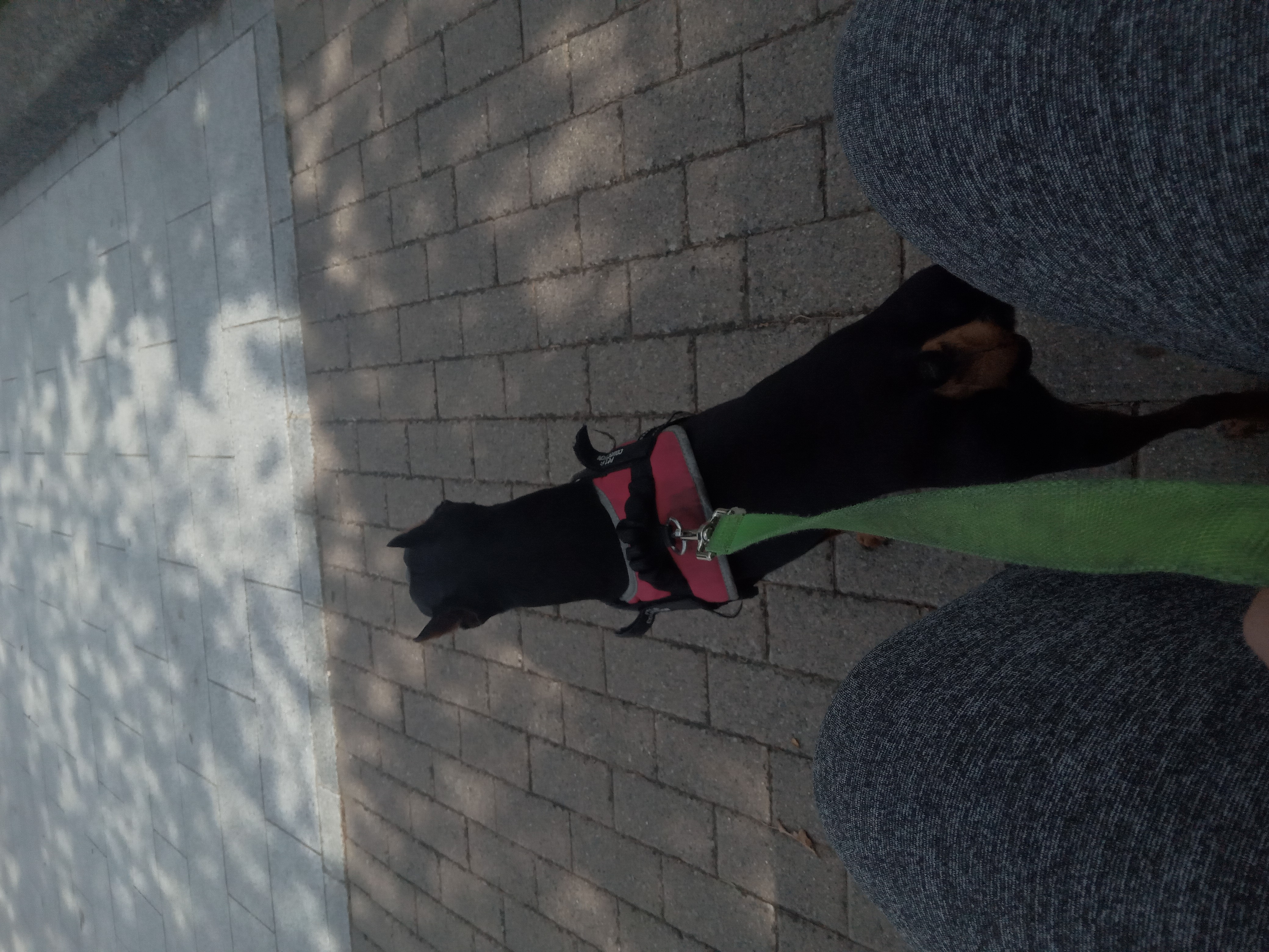 image-5