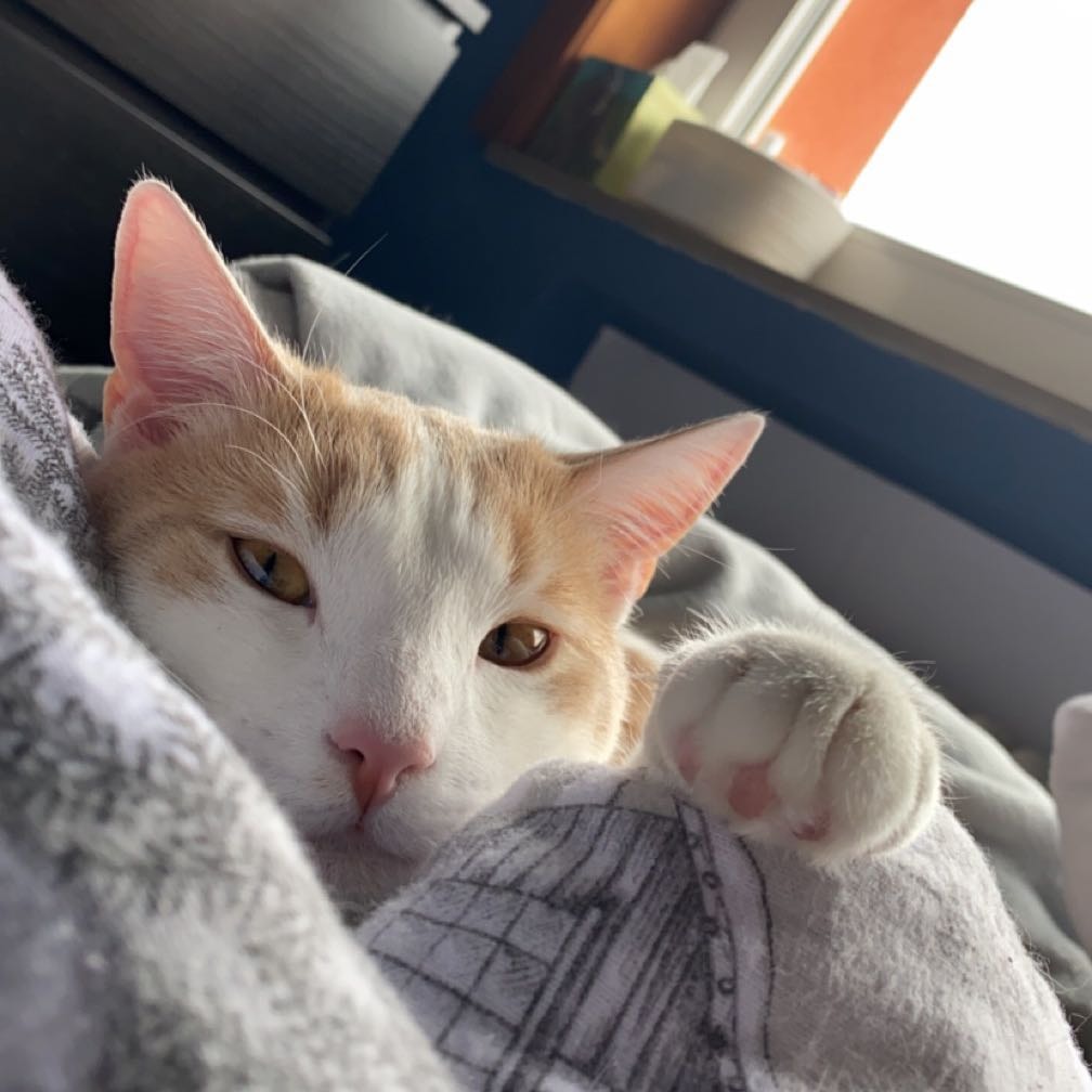Milo
