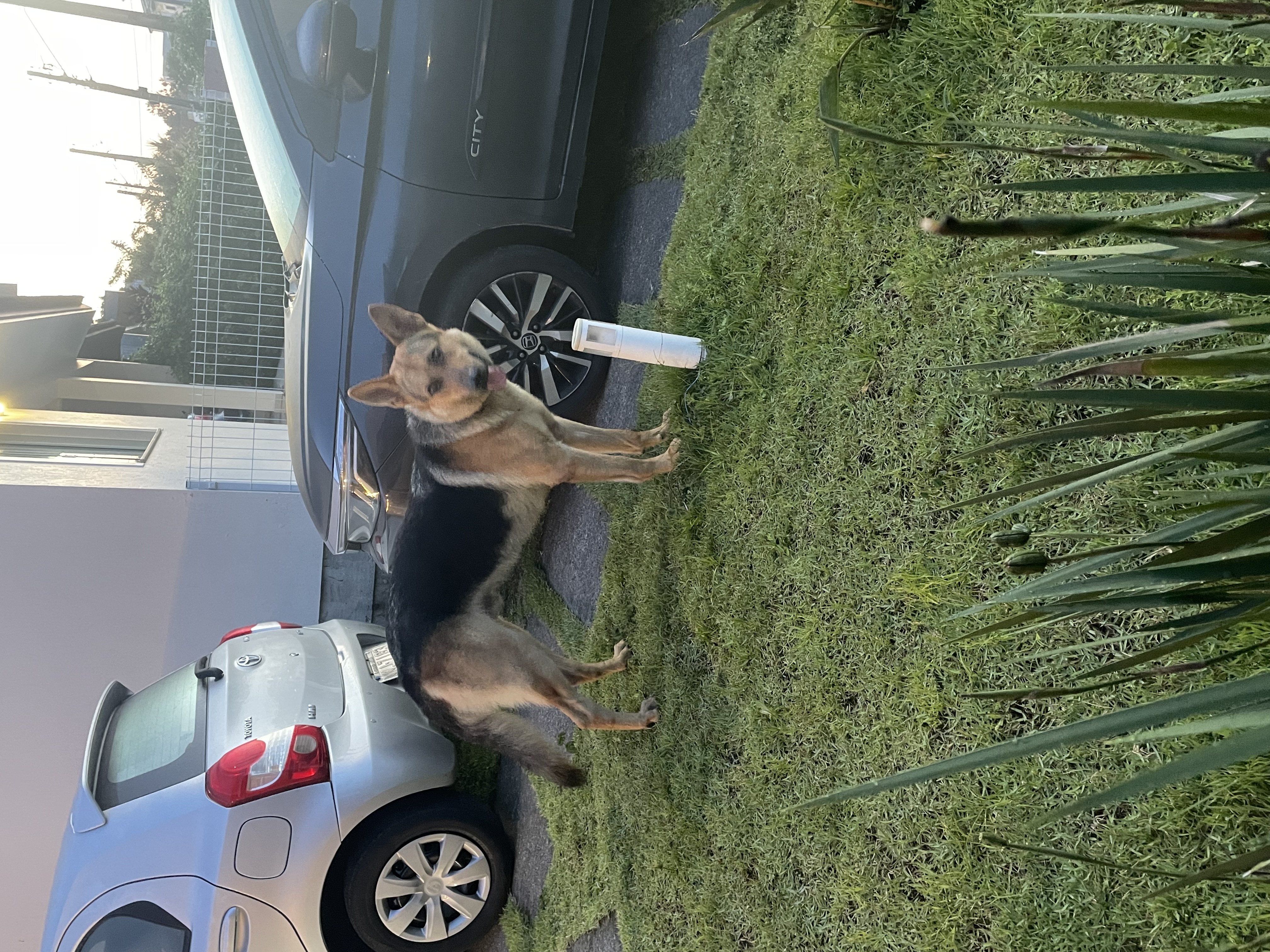image-6