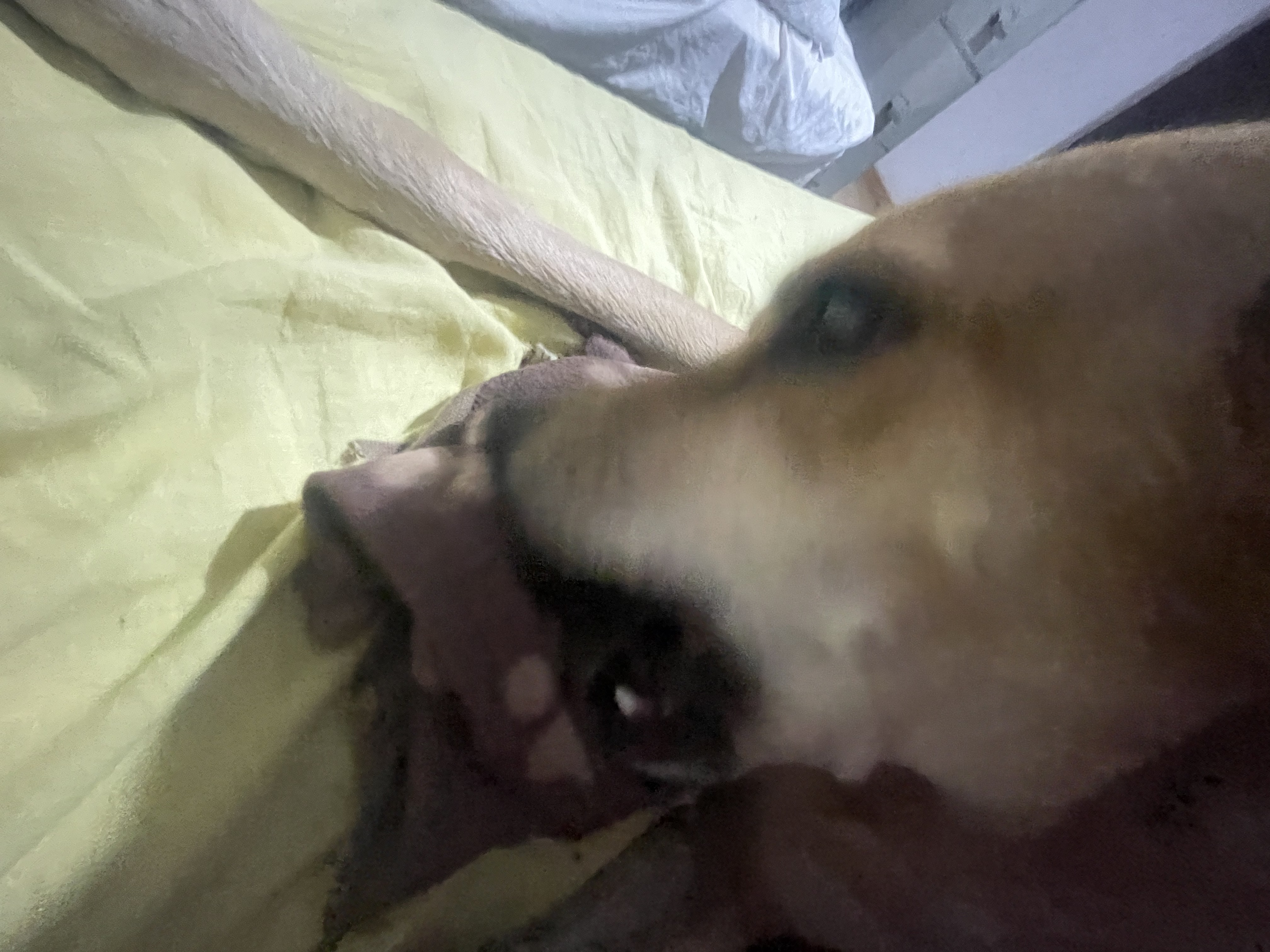 image-5