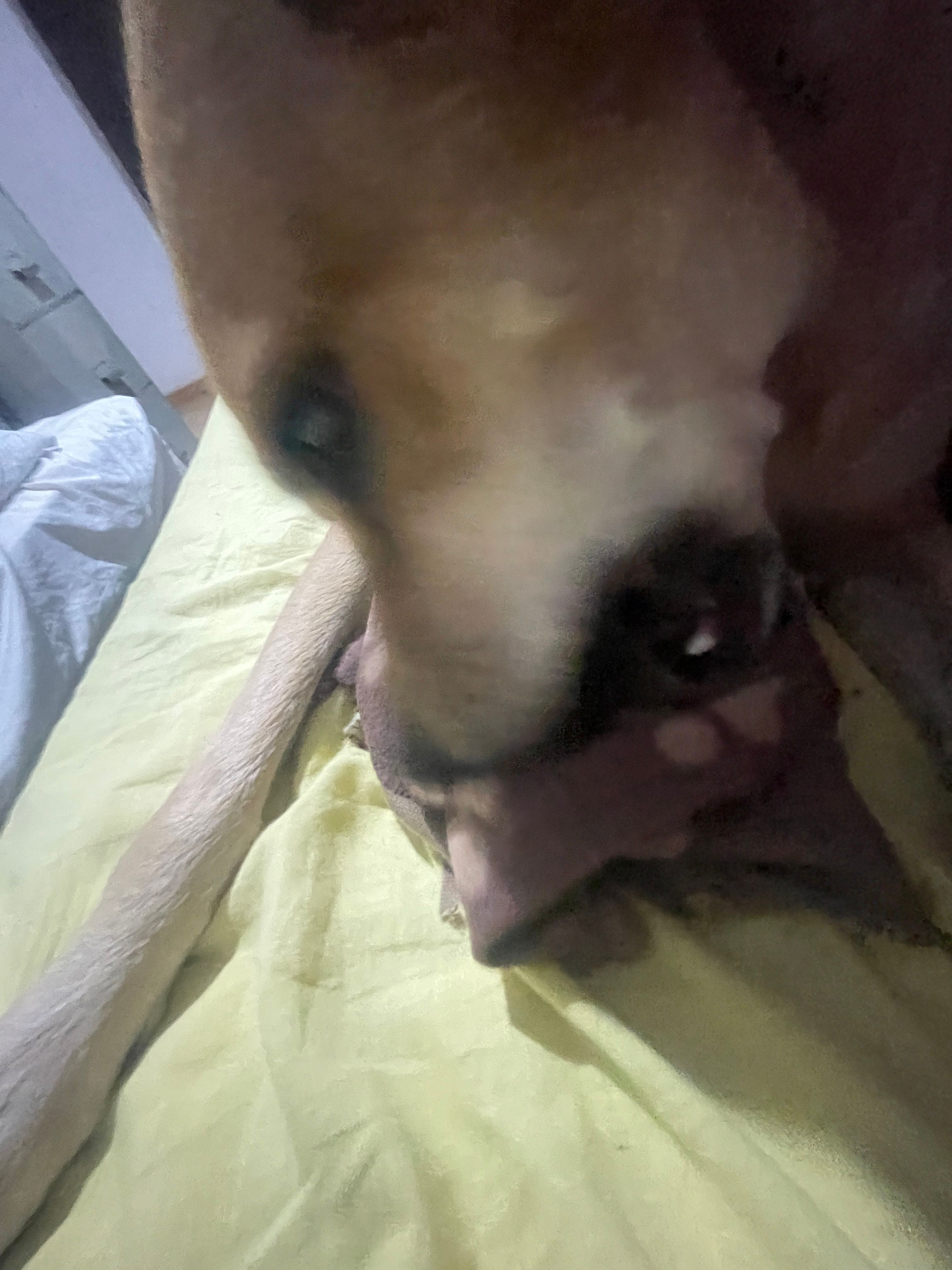 image-5