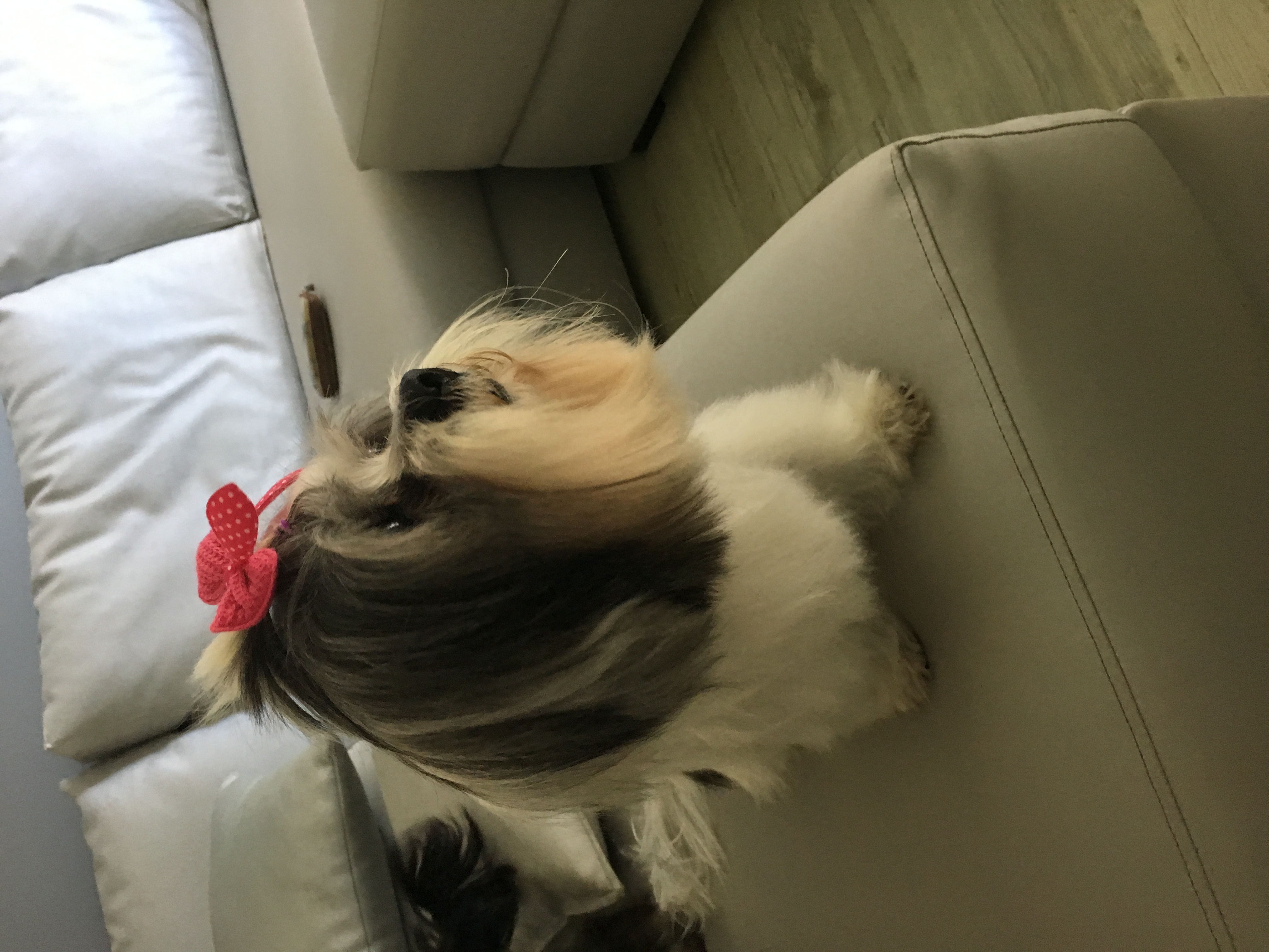 image-8