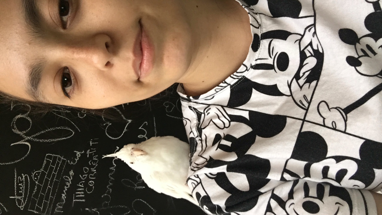 image-3