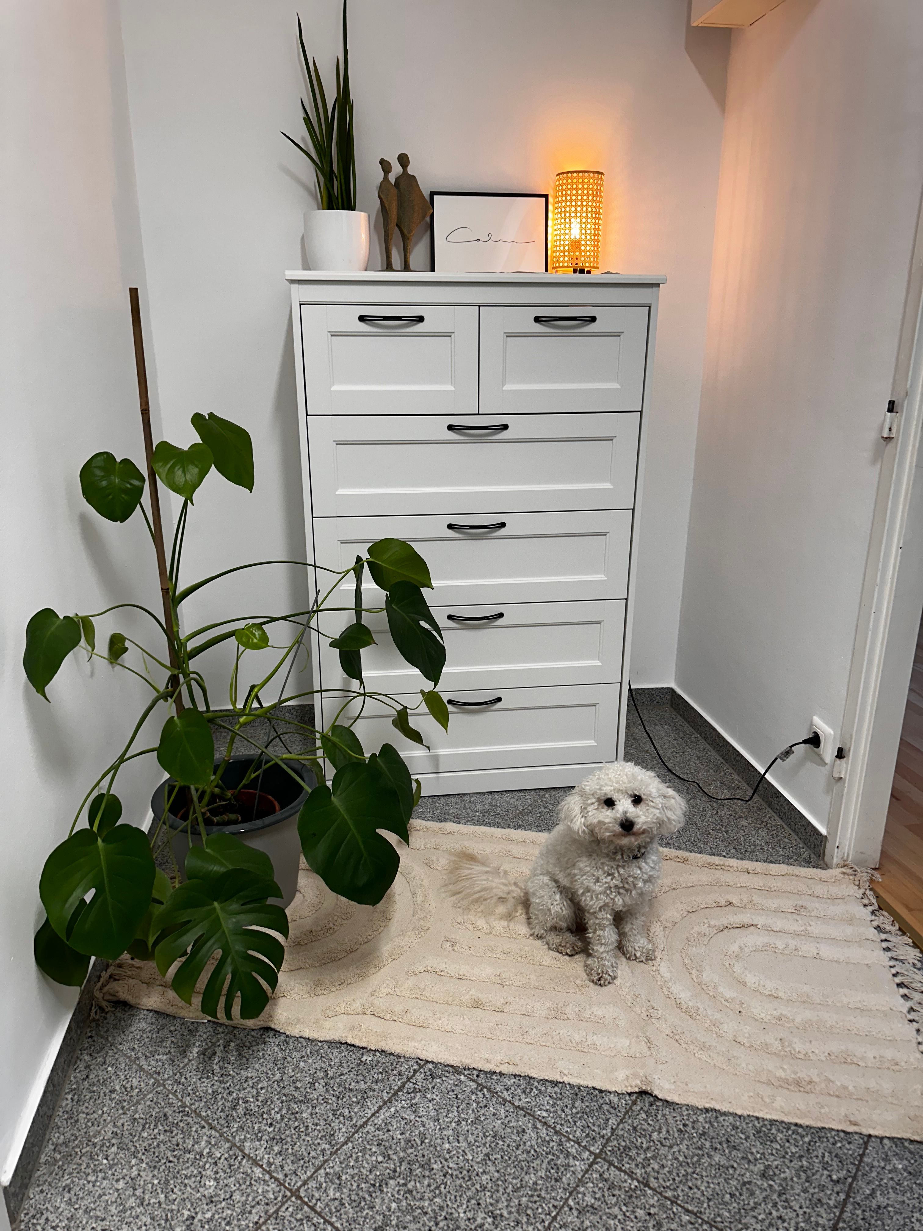 image-9