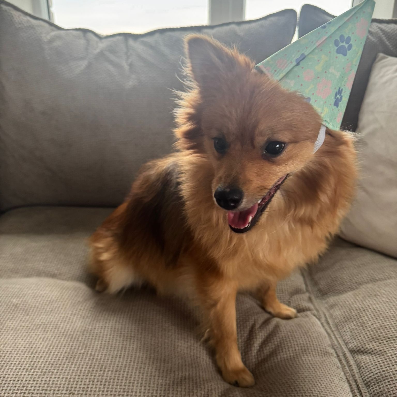 Chloe