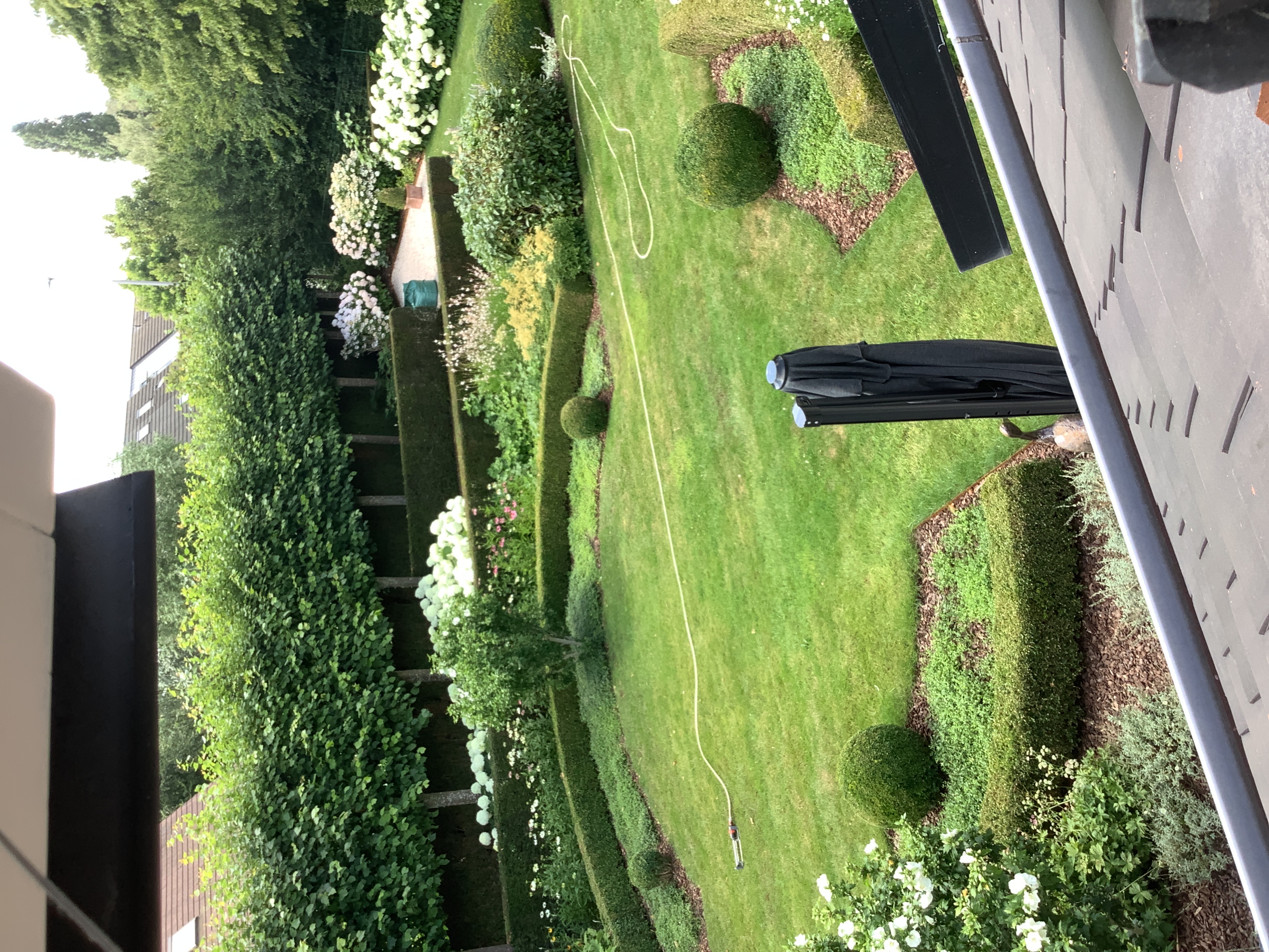 image-20