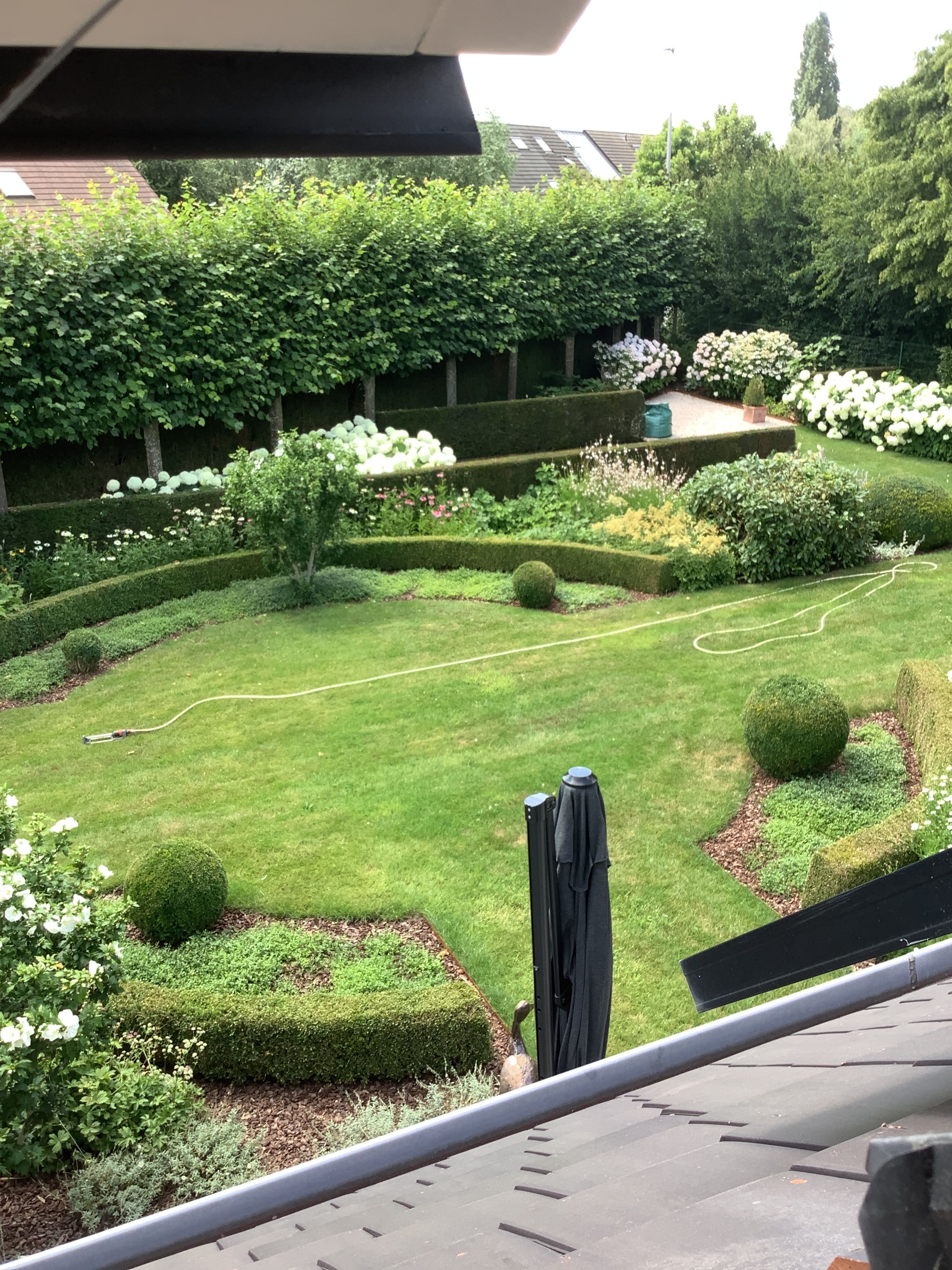 image-20